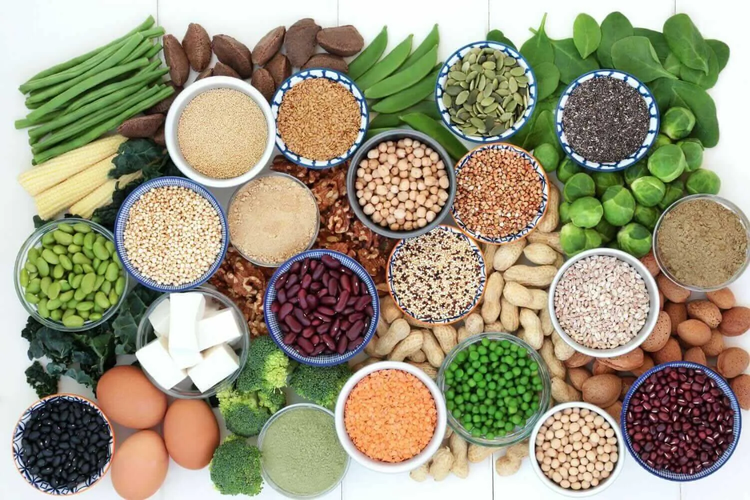 Quality Protein for Heart Health: Why Amino Acids Matter Most