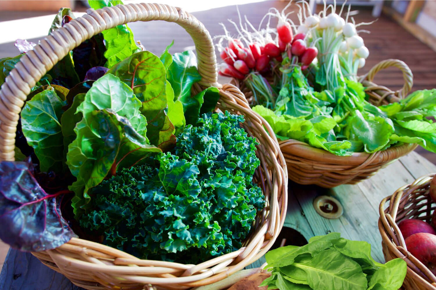 The Power of Leafy Green Vegetables: Nutrition, Health Benefits, and Recipes