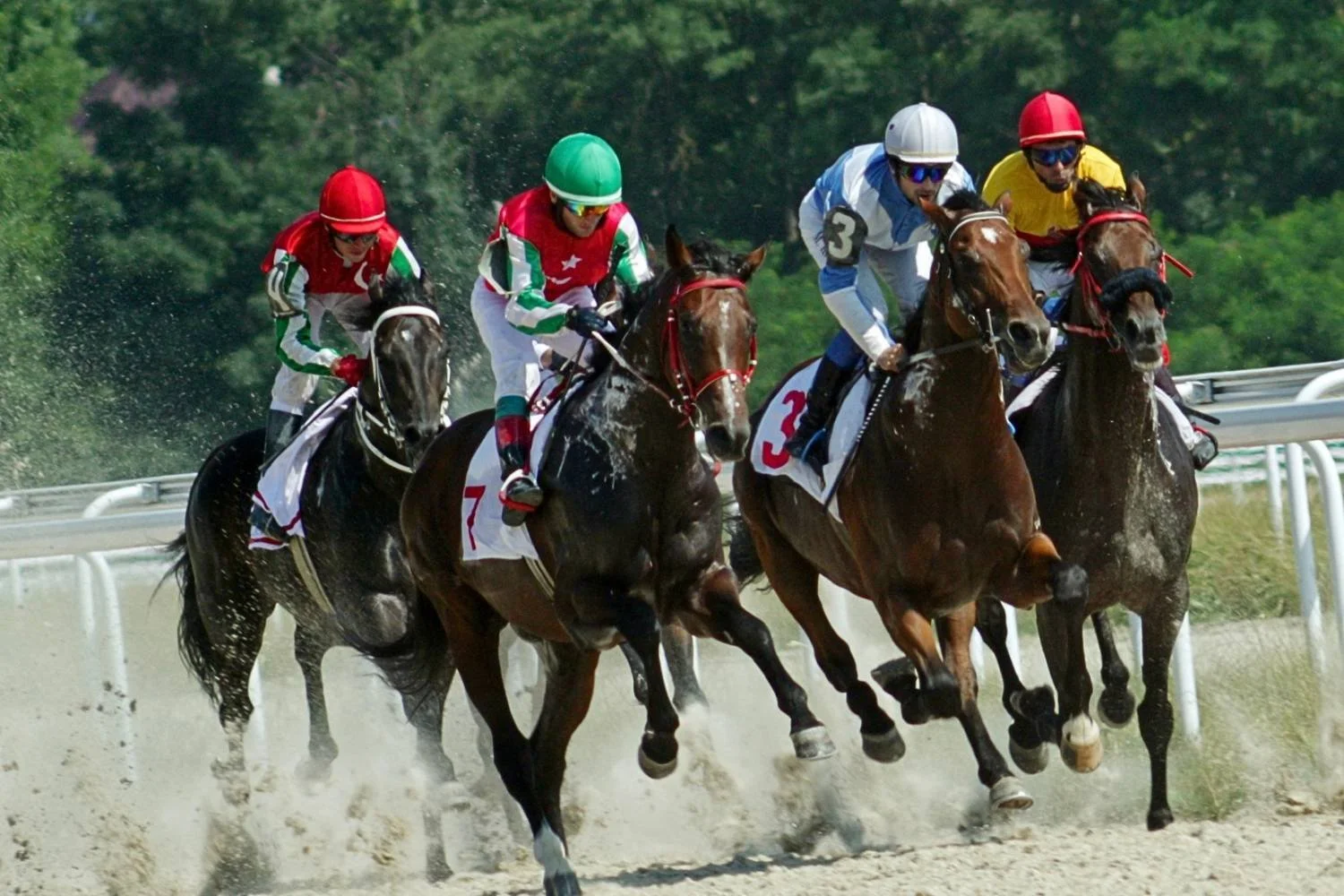 Racehorses and jockeys sprinting toward the finish line in a close race.