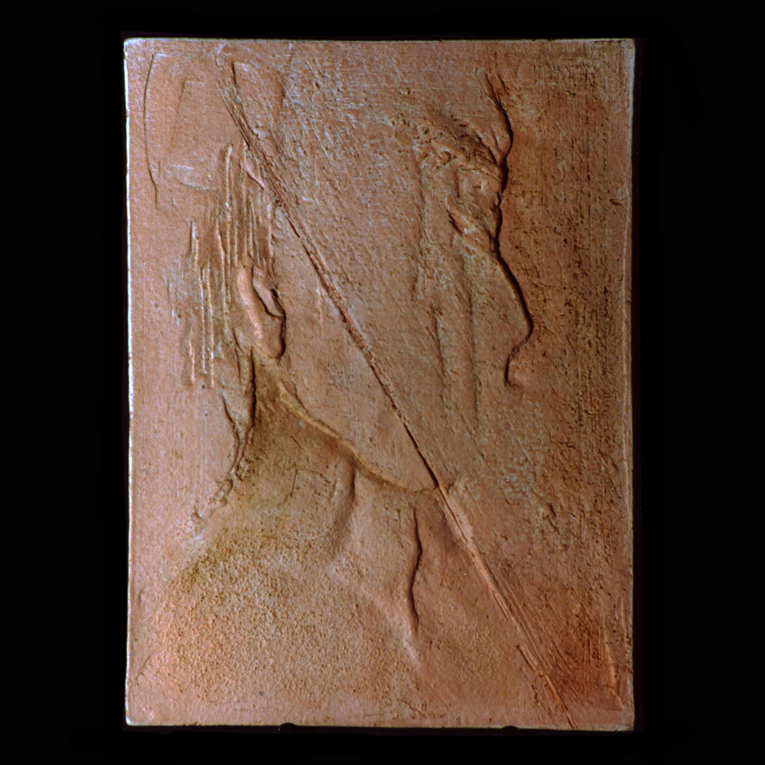 Profile_SQ.jpg