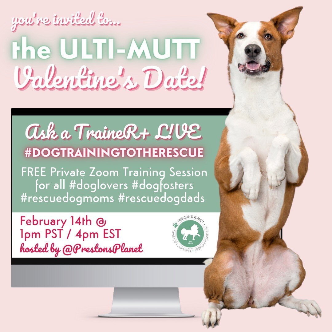 You&rsquo;re invited to the Ulti-Mutt Valentine&rsquo;s Date!! 🐶💝

COME. SIT. PLAY.
And join Preston&rsquo;s Planet first ever #DogTrainingToTheRescue #askatrainer L!VE 💻

🗓️TMRW!! FEB 14th @ 1pm PST / 4pm EST

If your Pup could benefit from a li