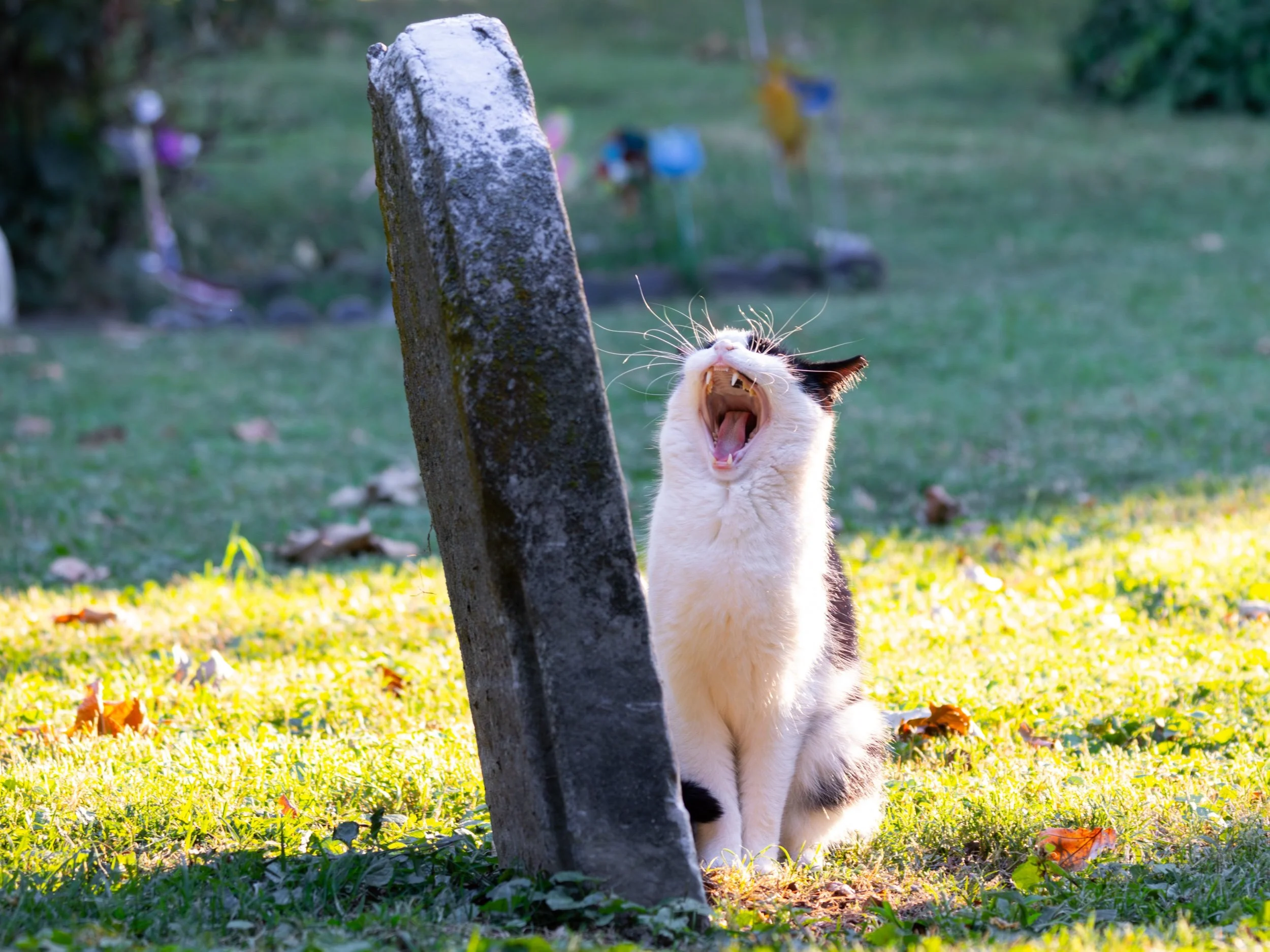 Philadelphia, Pennsylvania