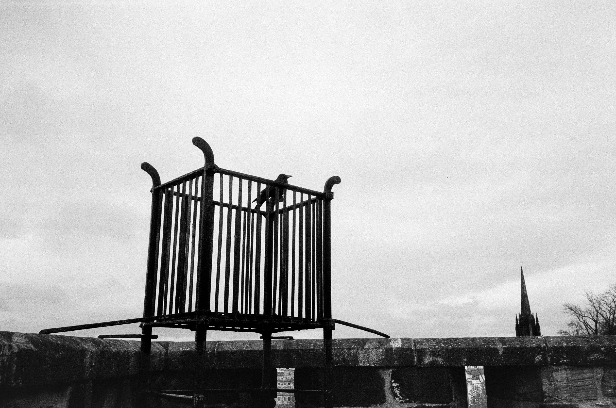 scotland_ireland_film-28.jpg