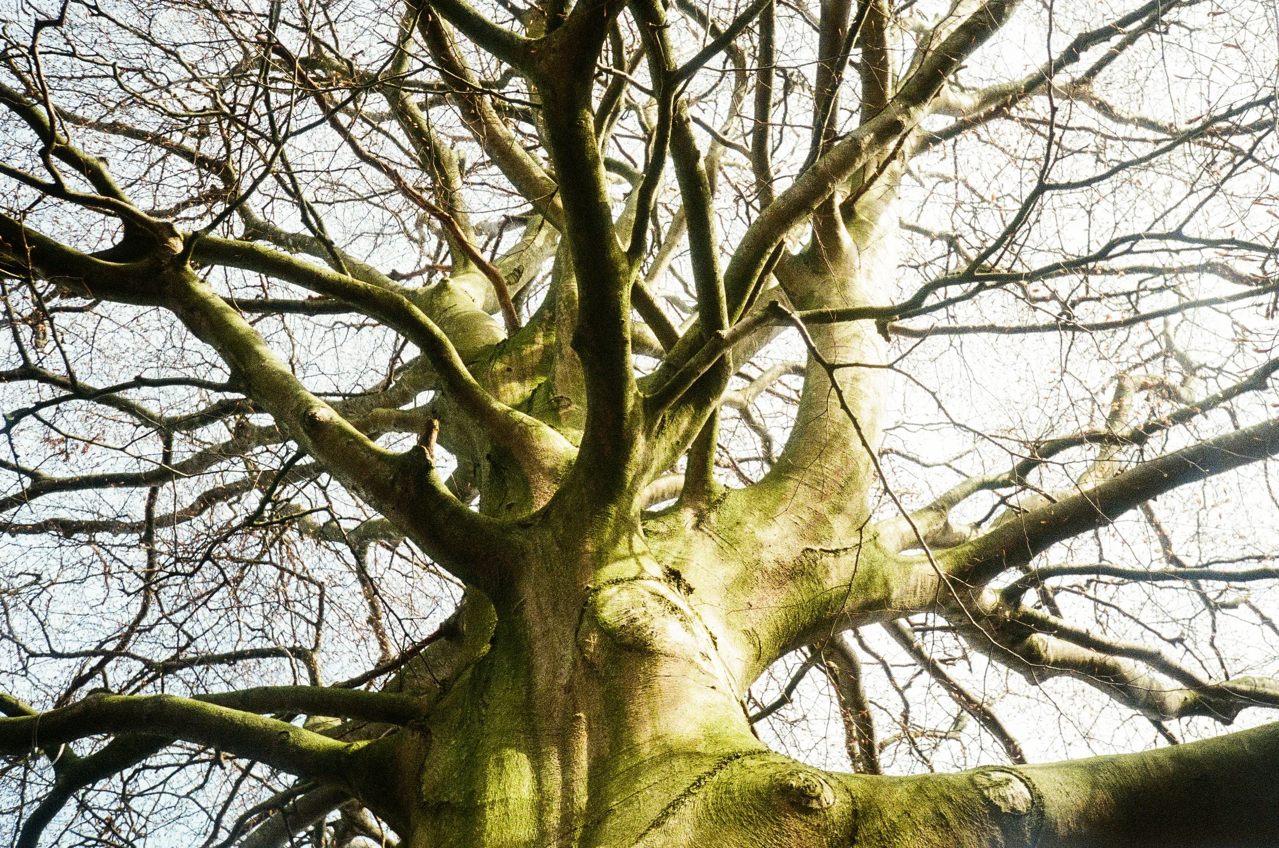 scotland_ireland_film-29.jpg