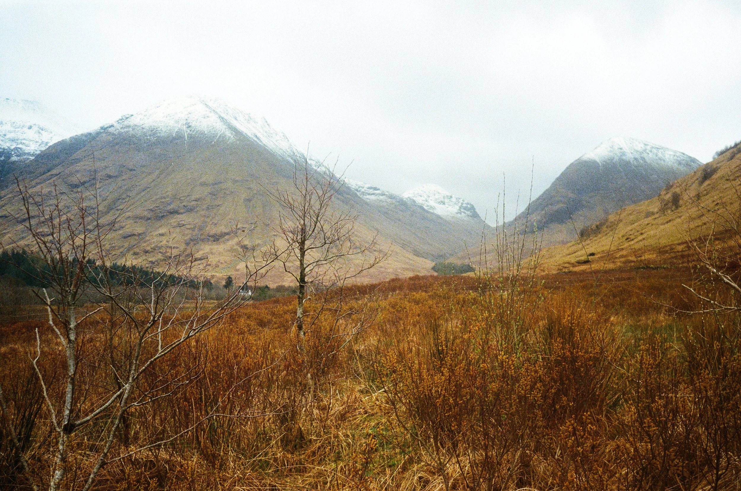 scotland_ireland_film-18.jpg