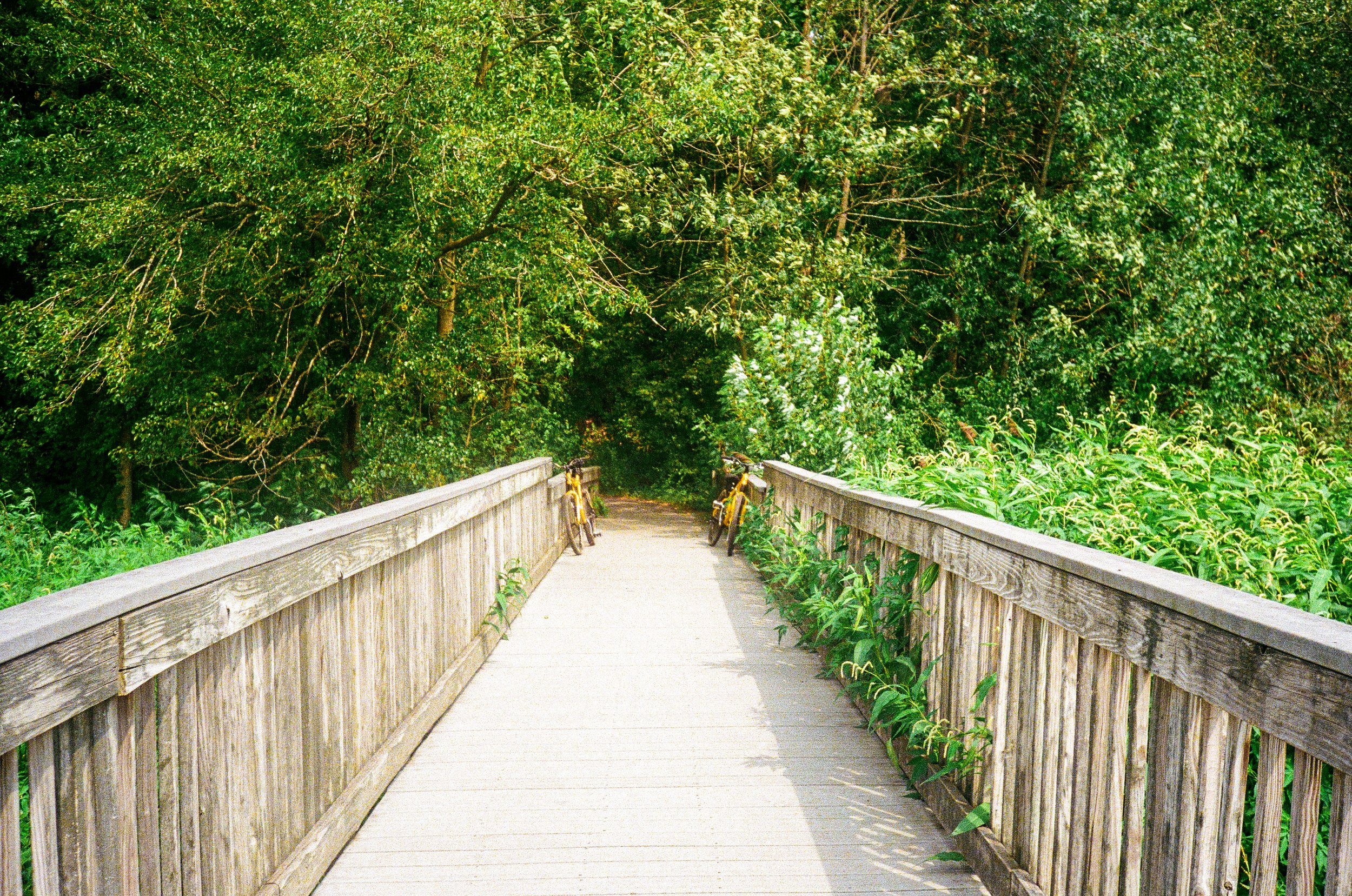 2026_summer_edited-06.jpg