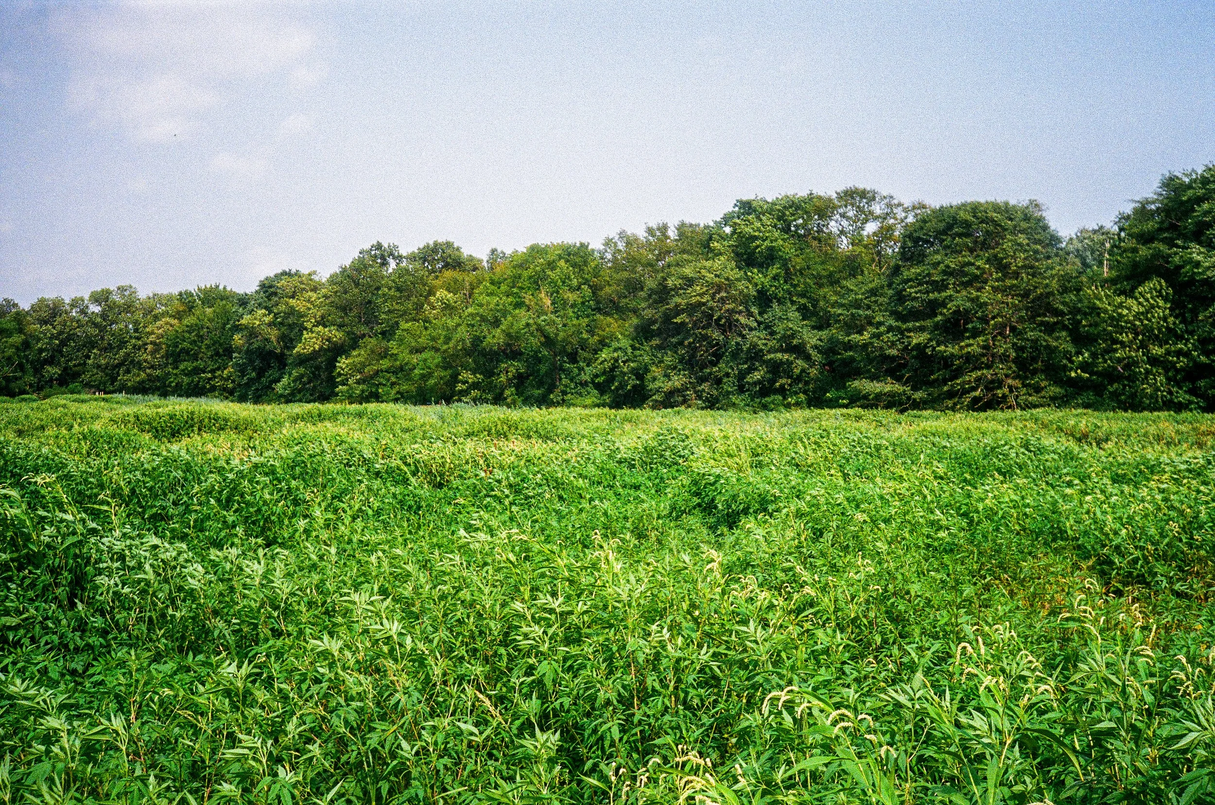 2026_summer_edited-07.jpg