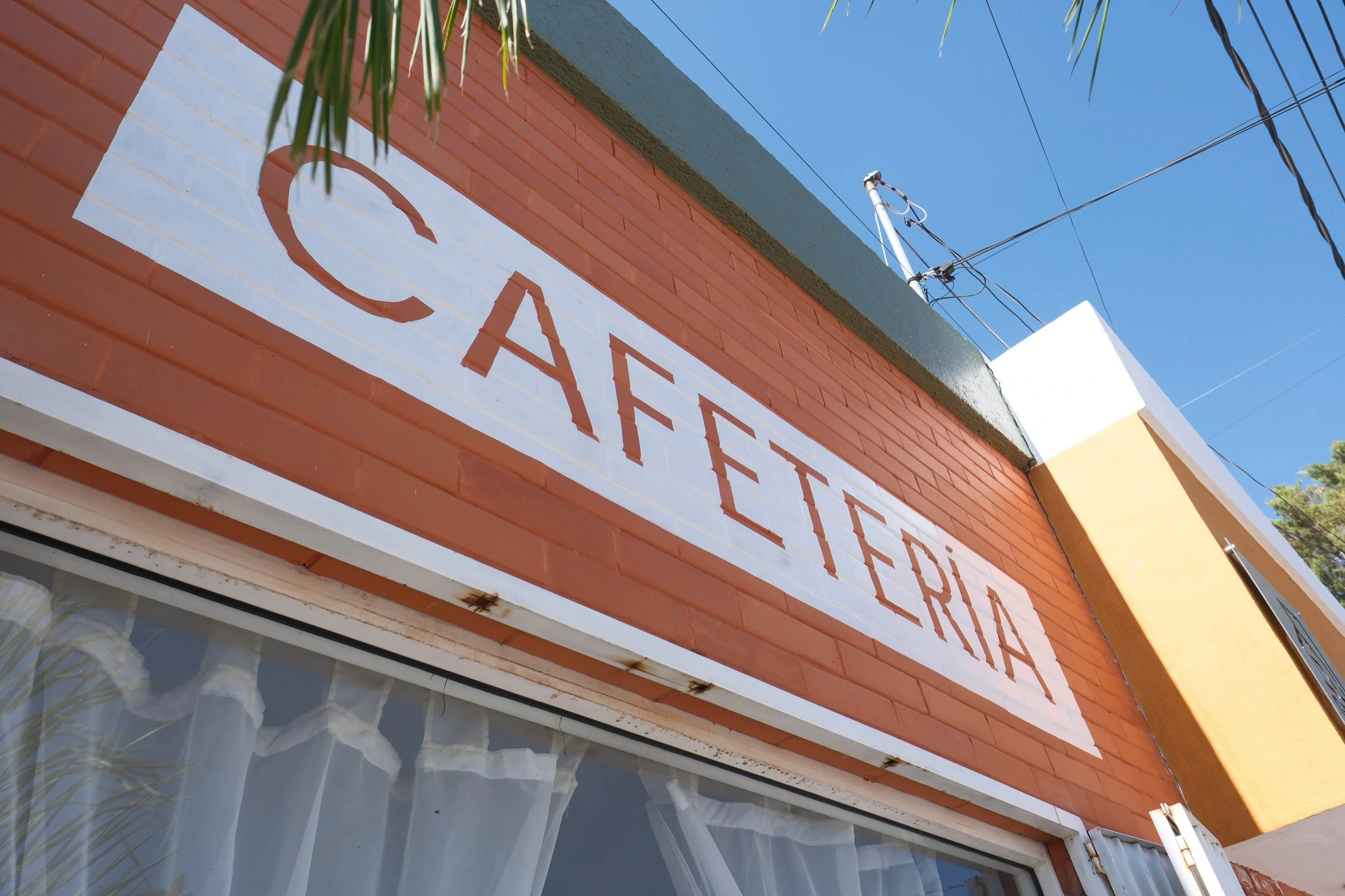 Favorites - 11 of 234.jpeg