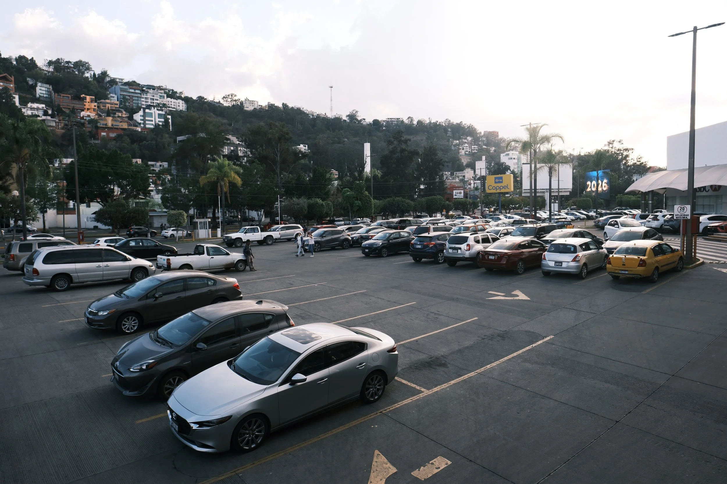 Favorites - 60 of 234.jpeg