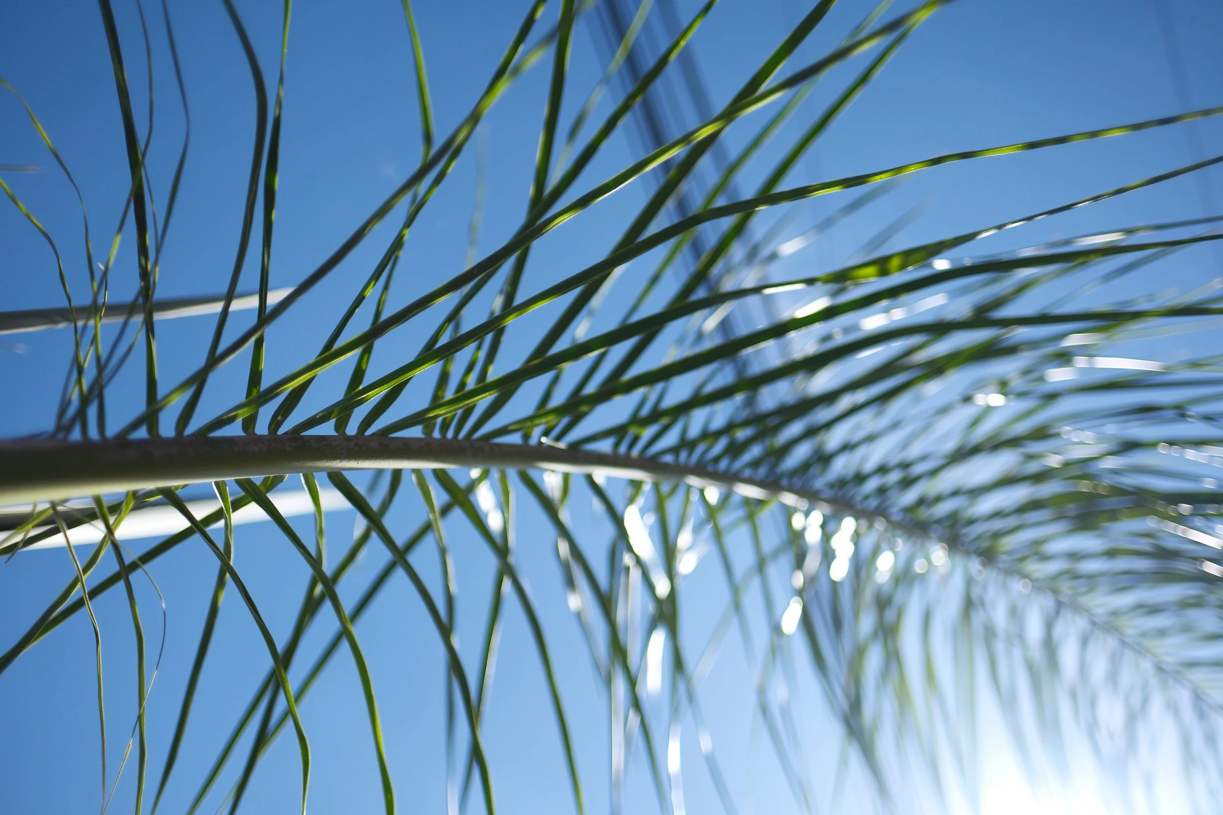 Favorites - 12 of 234.jpeg