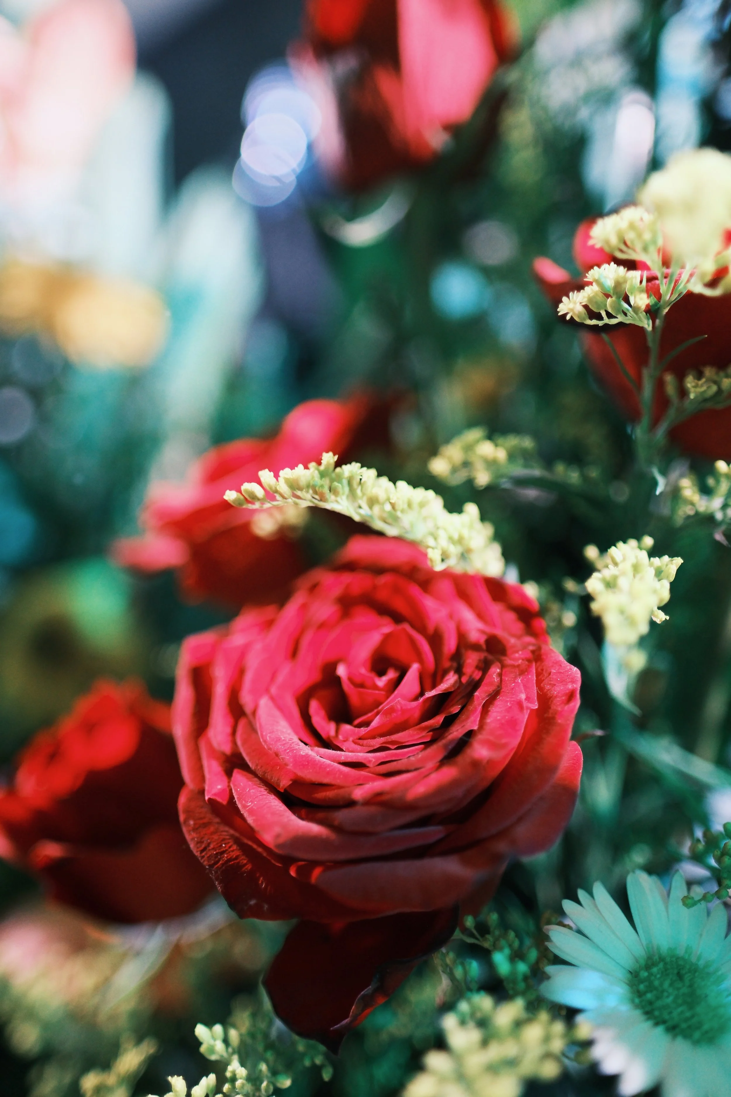 Favorites - 110 of 234.jpeg