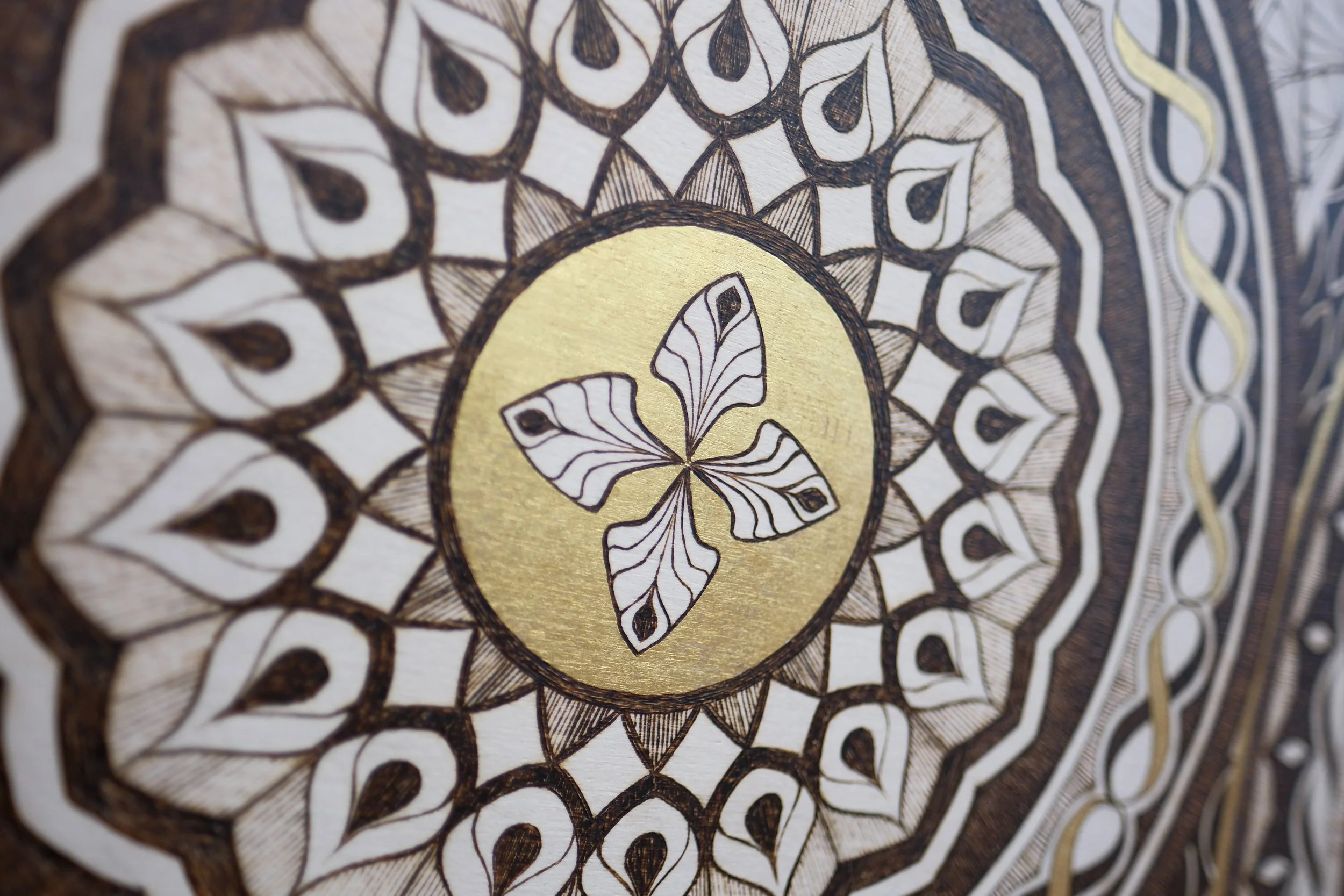 Favorites - 233 of 234.jpeg