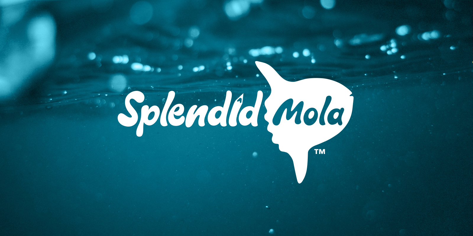 Splendid-Mola.png