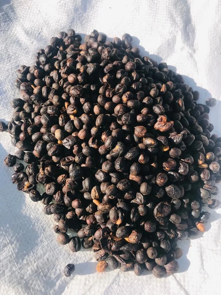 D8D681A2-A04E-4675-9500-DA6111E7287B