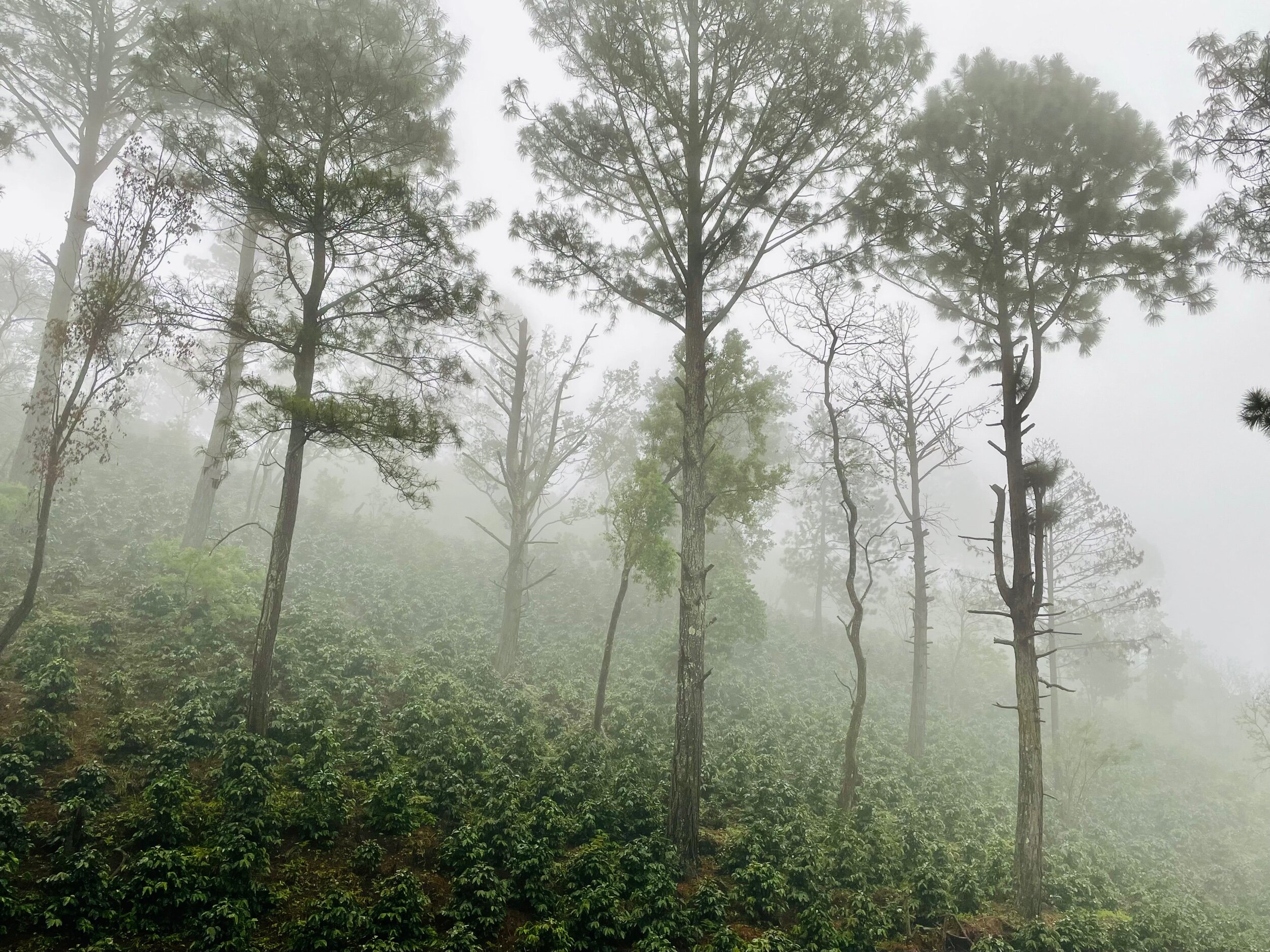 B9CC6A9D-7F65-4CE4-9654-9C6047471C51