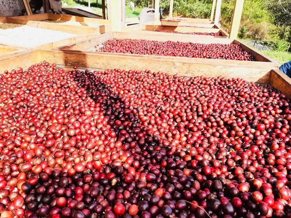 BE0DB51F-495E-4535-92C6-8BD5E9FD3992