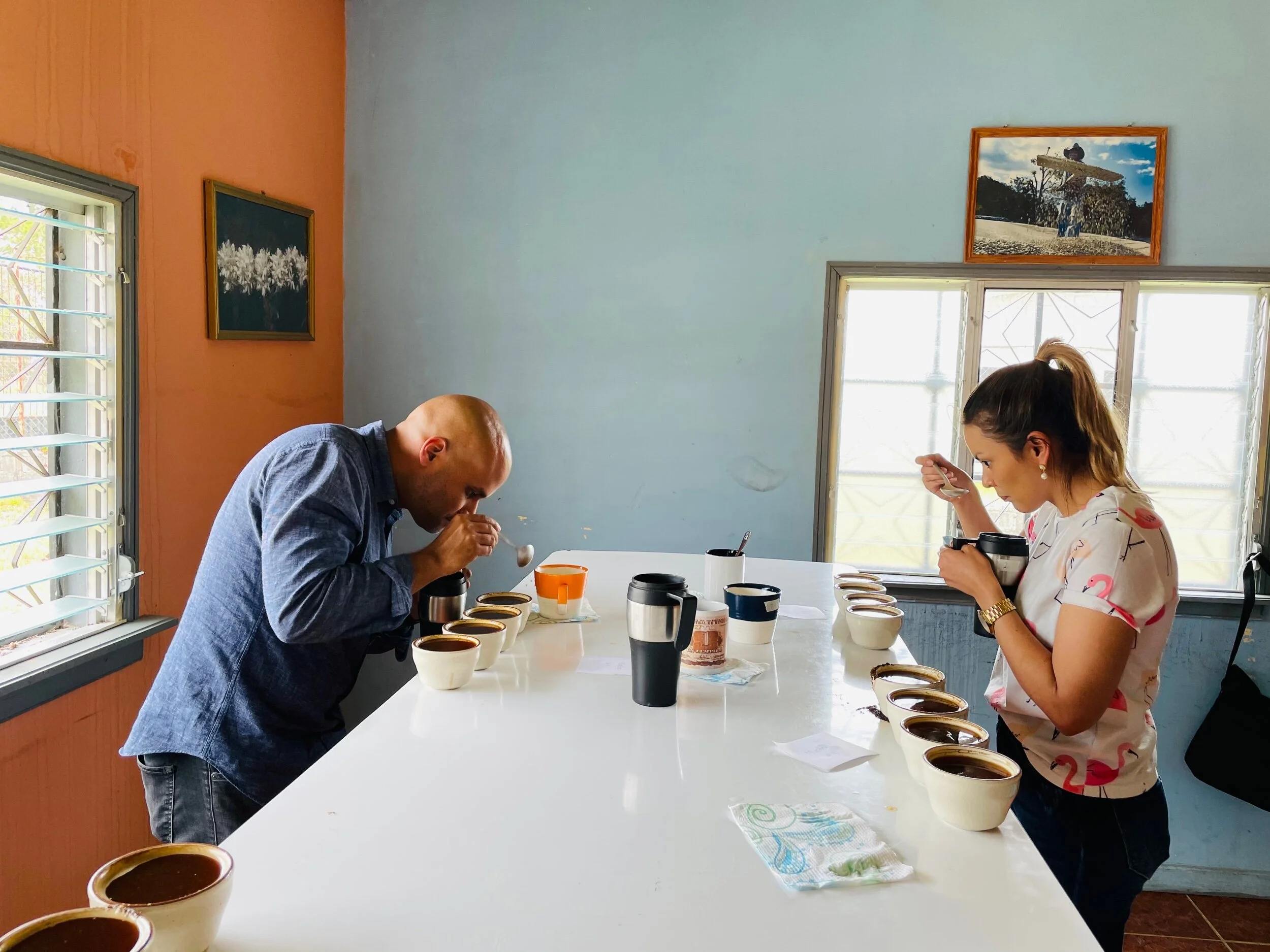 893BB176-26B3-4833-B19F-732F945CB0B7