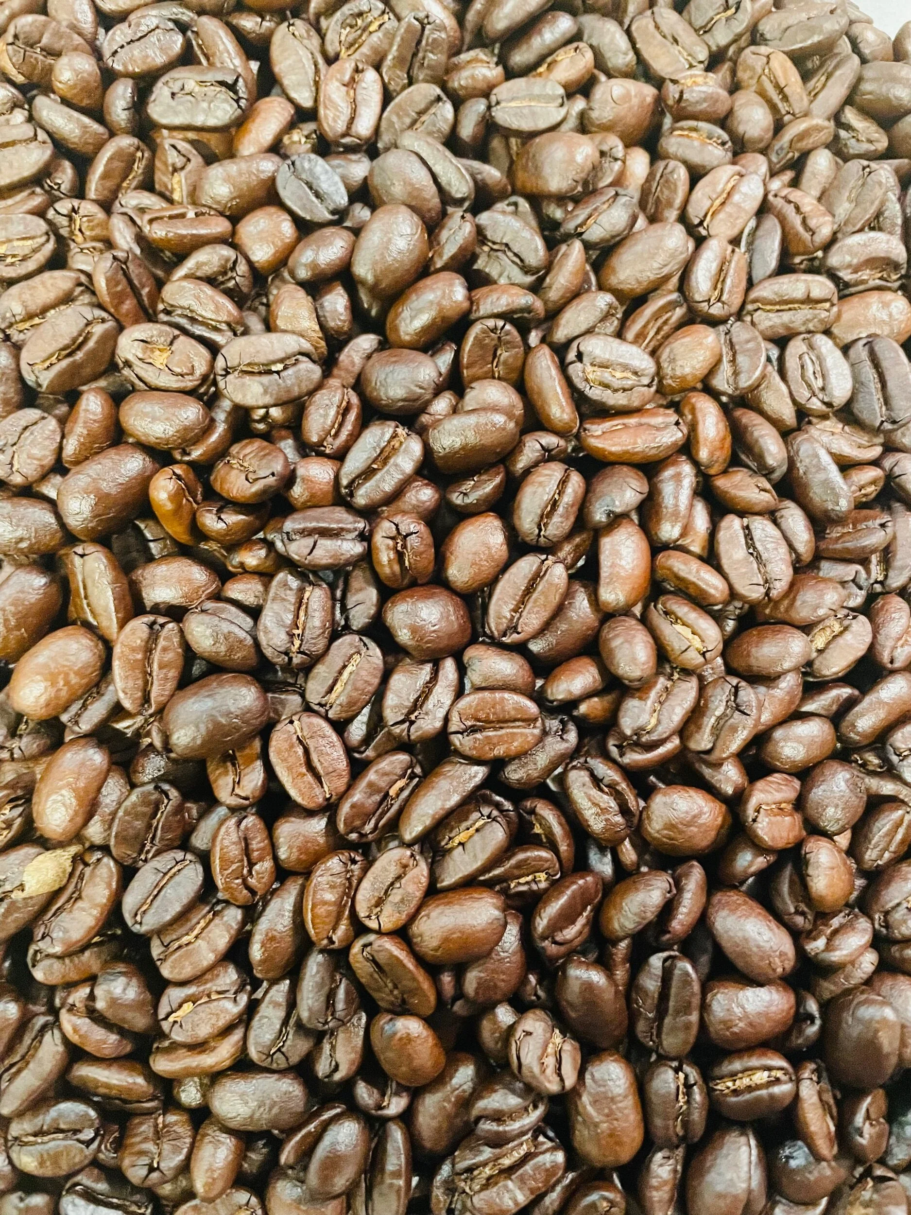 676CCDB7-5498-40FA-9213-F5FD51D1FCCD