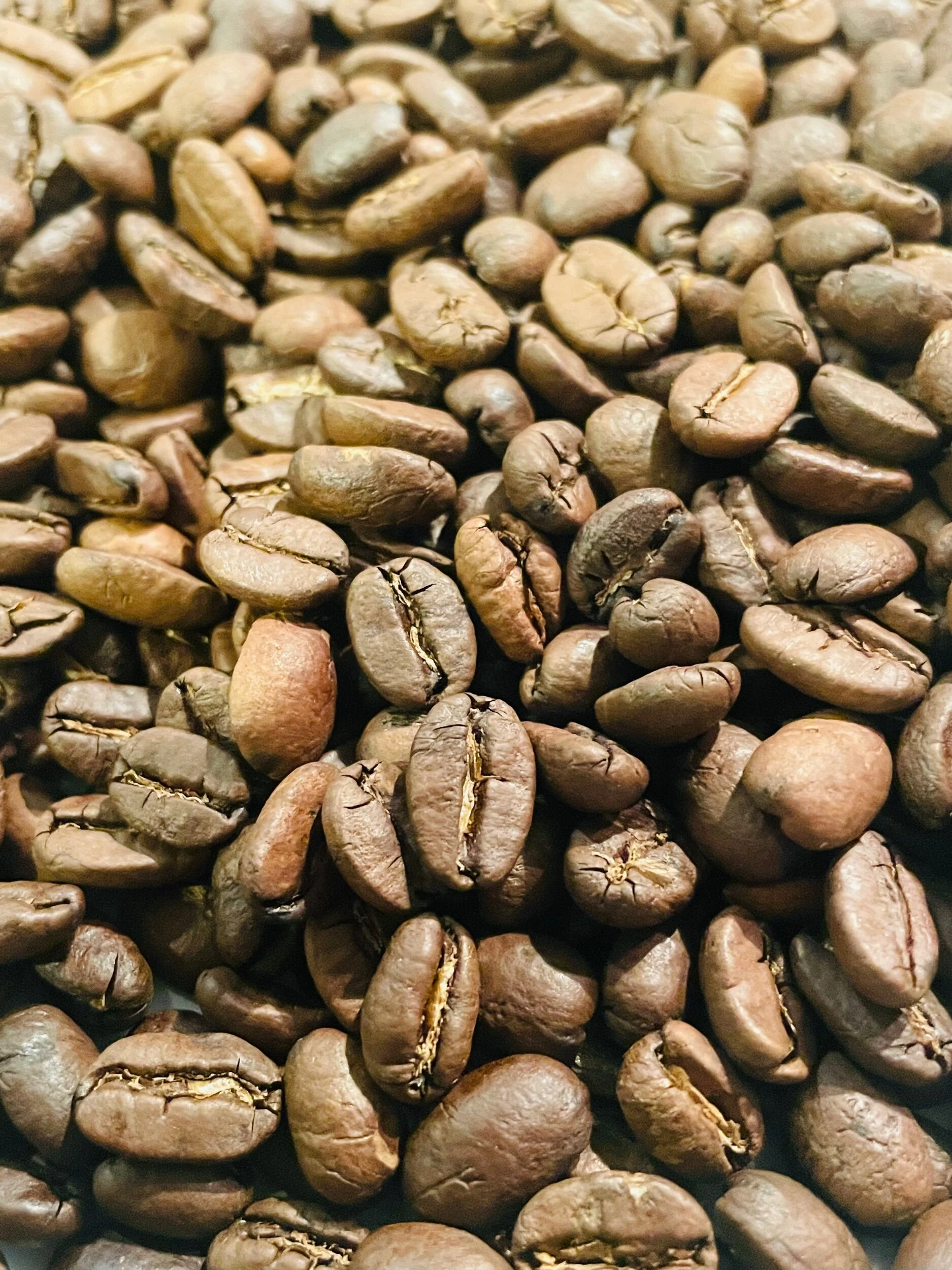 18A71C5C-A886-49D4-BED8-6F6AF7D074E1