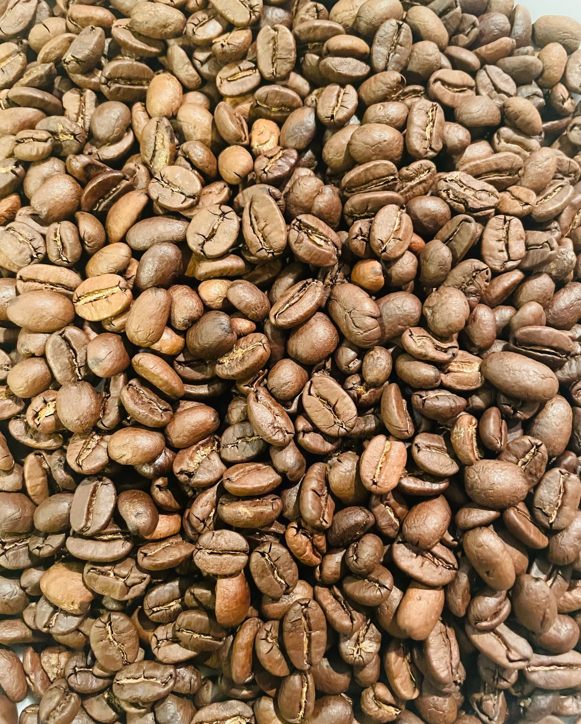 1B5EC57A-6F34-4AAC-91E6-ADABDFFA06A6