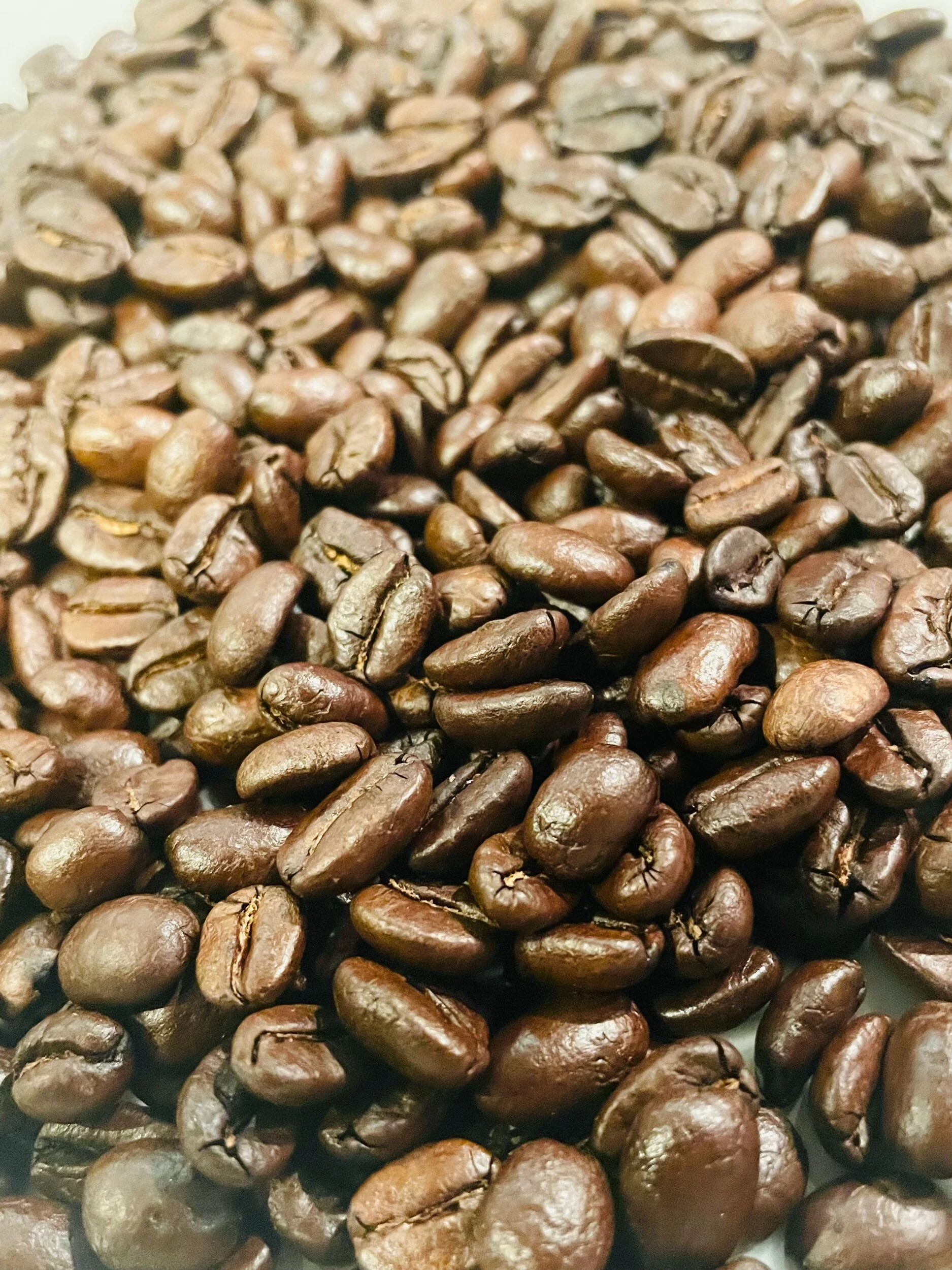 99CE479E-204A-4E69-BD78-8BF46E8D87AF