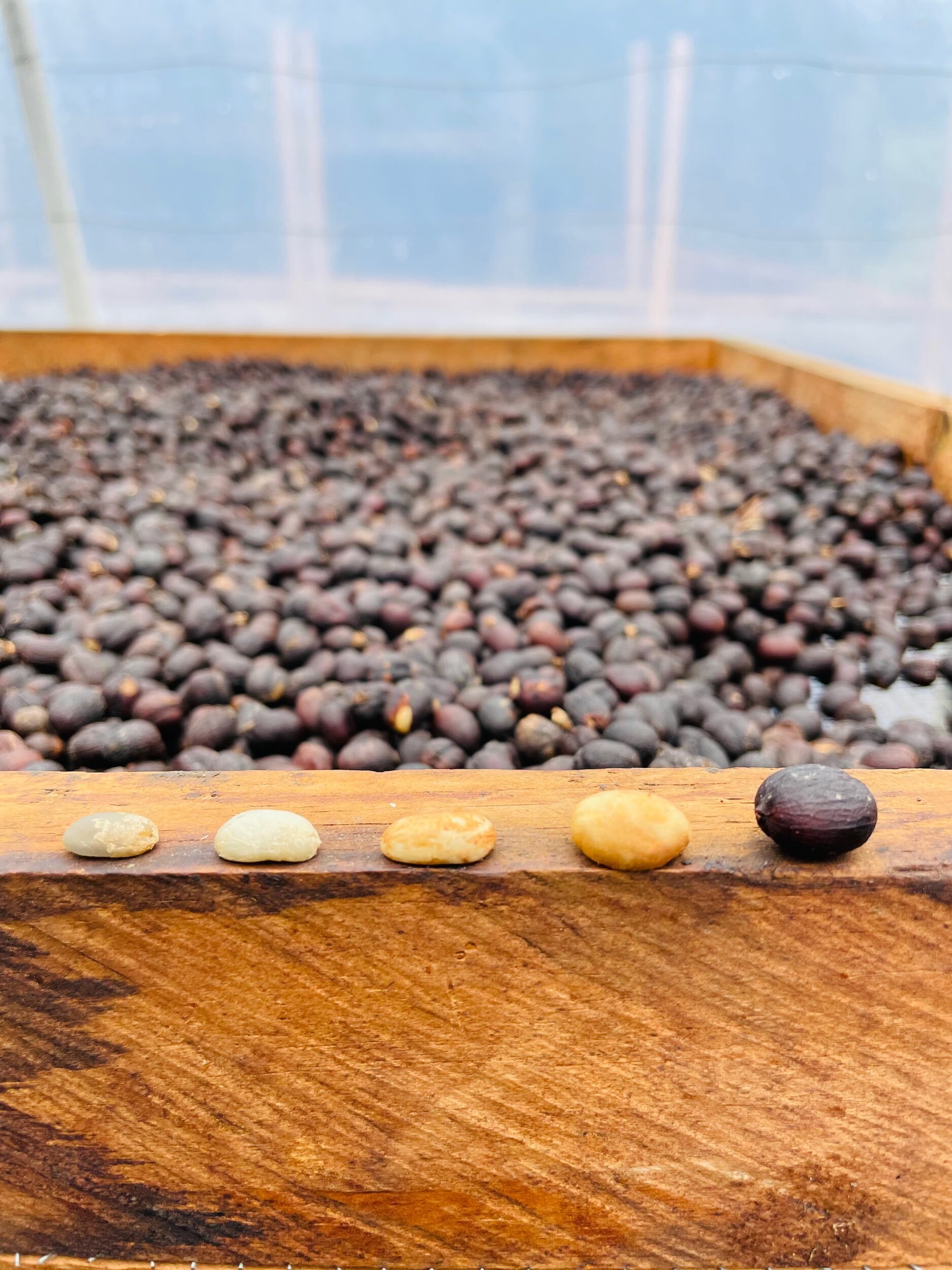 890AF61A-6D4E-4CA8-A4DF-924BAC617748