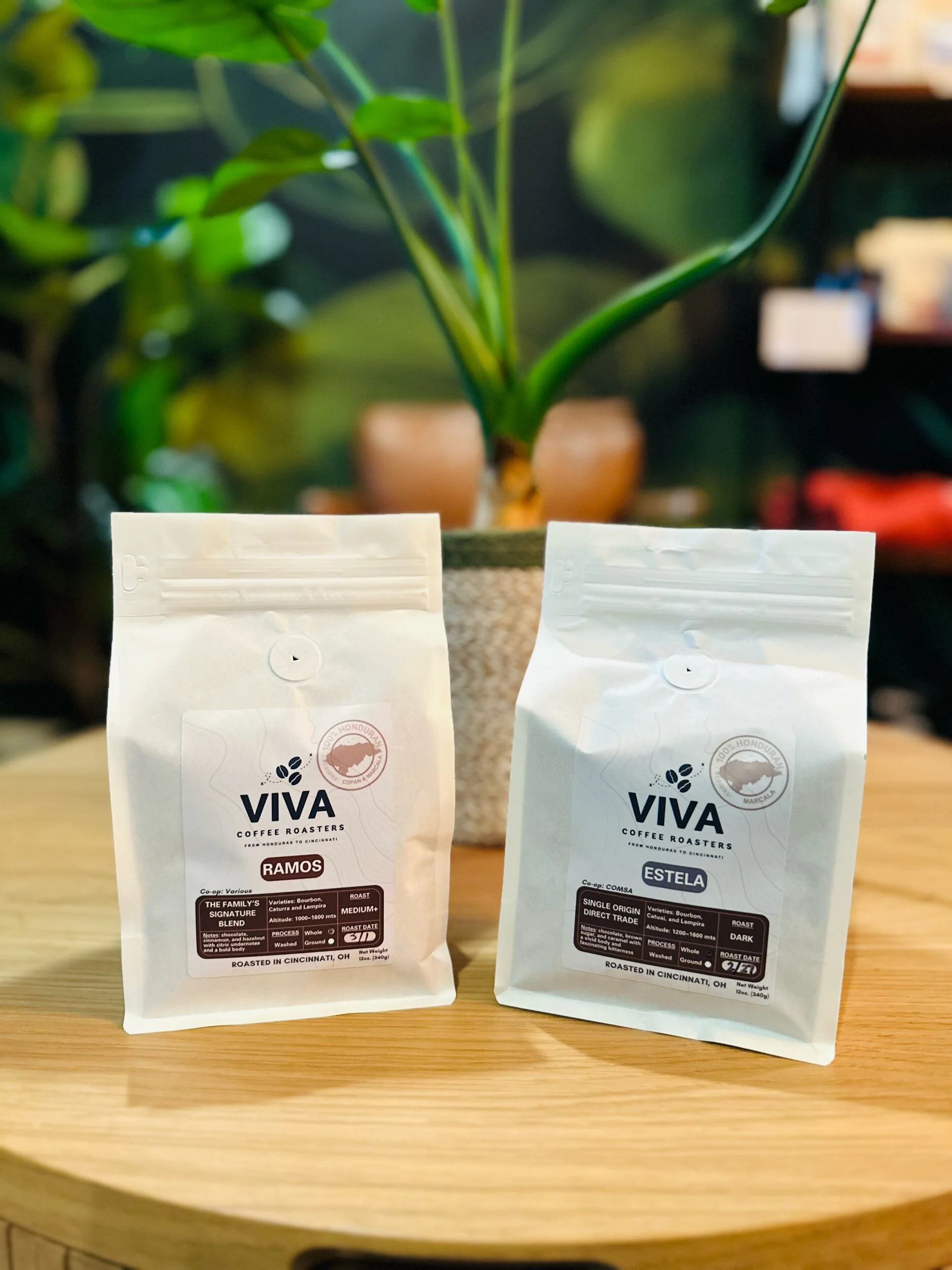 999719E9-1BB7-4ED9-89C6-689C42A94B99