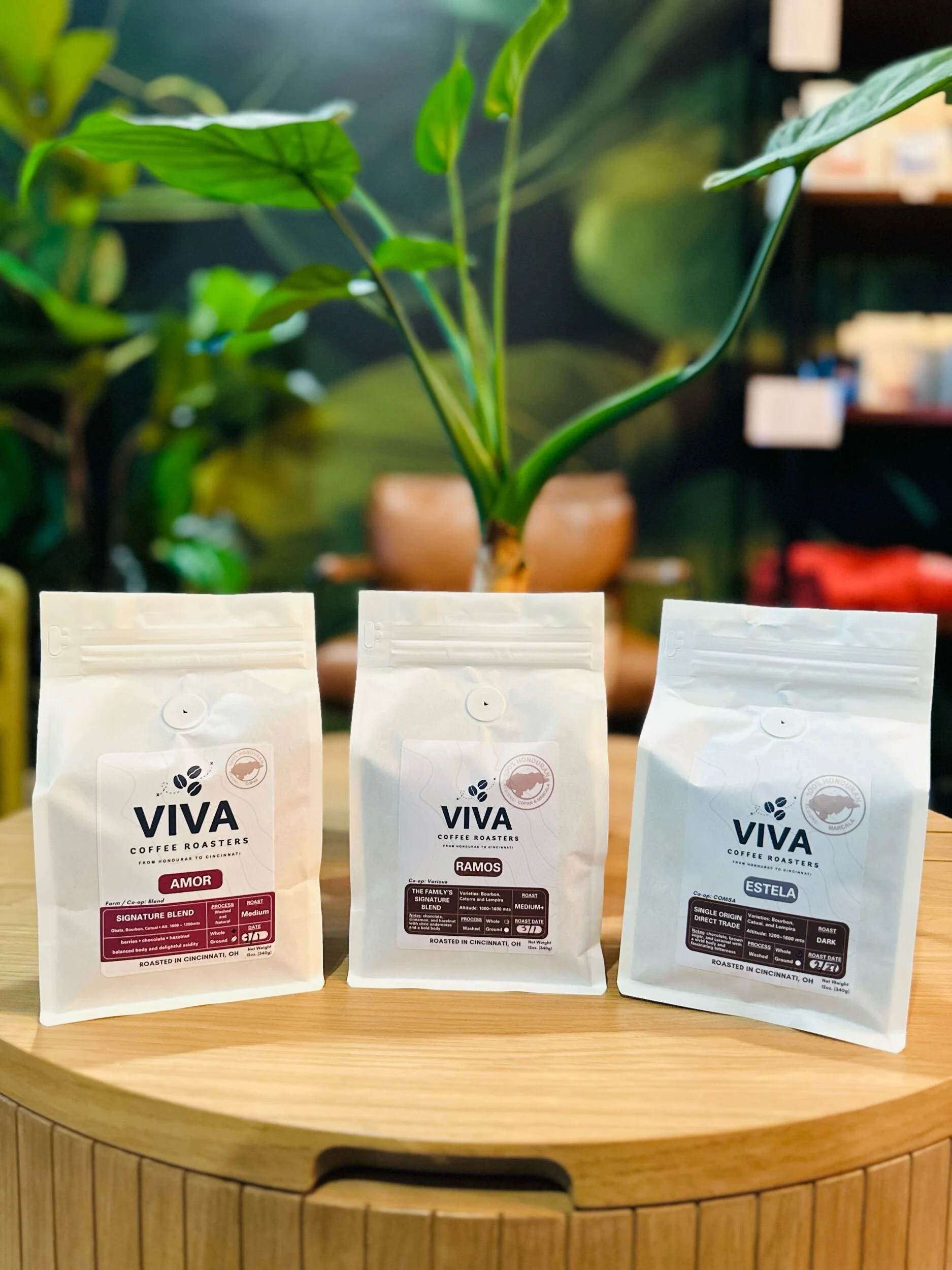 959CB2F3-2B65-4AB8-9F7C-7D5F4F853403