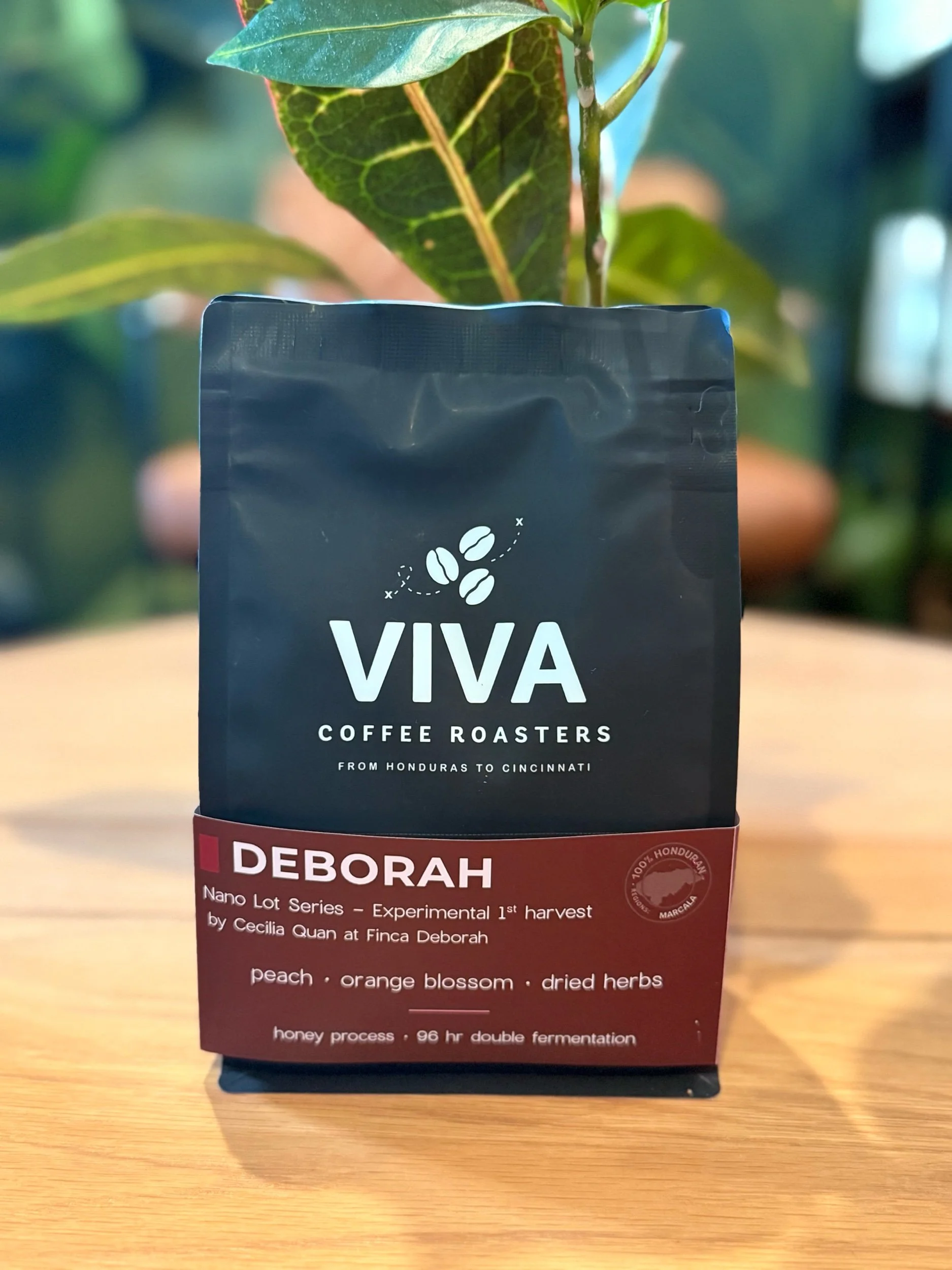 Deborah, Honey Processed Nano Lot - 12oz