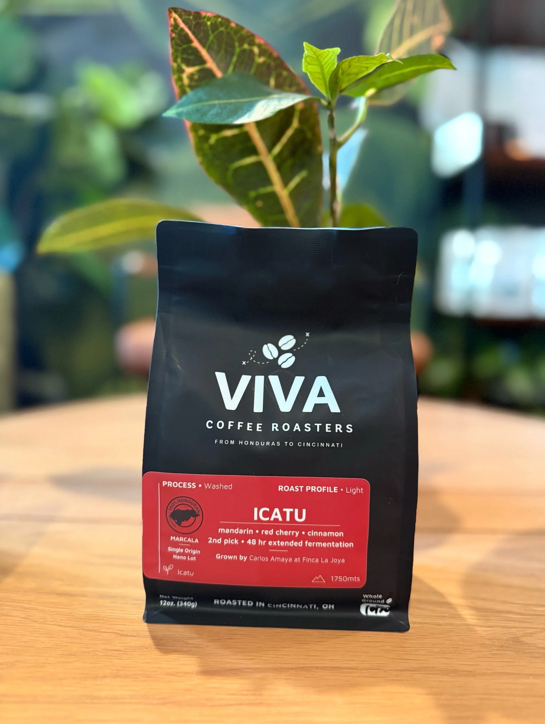 Icatu, Washed Process Micro Lot - 12oz