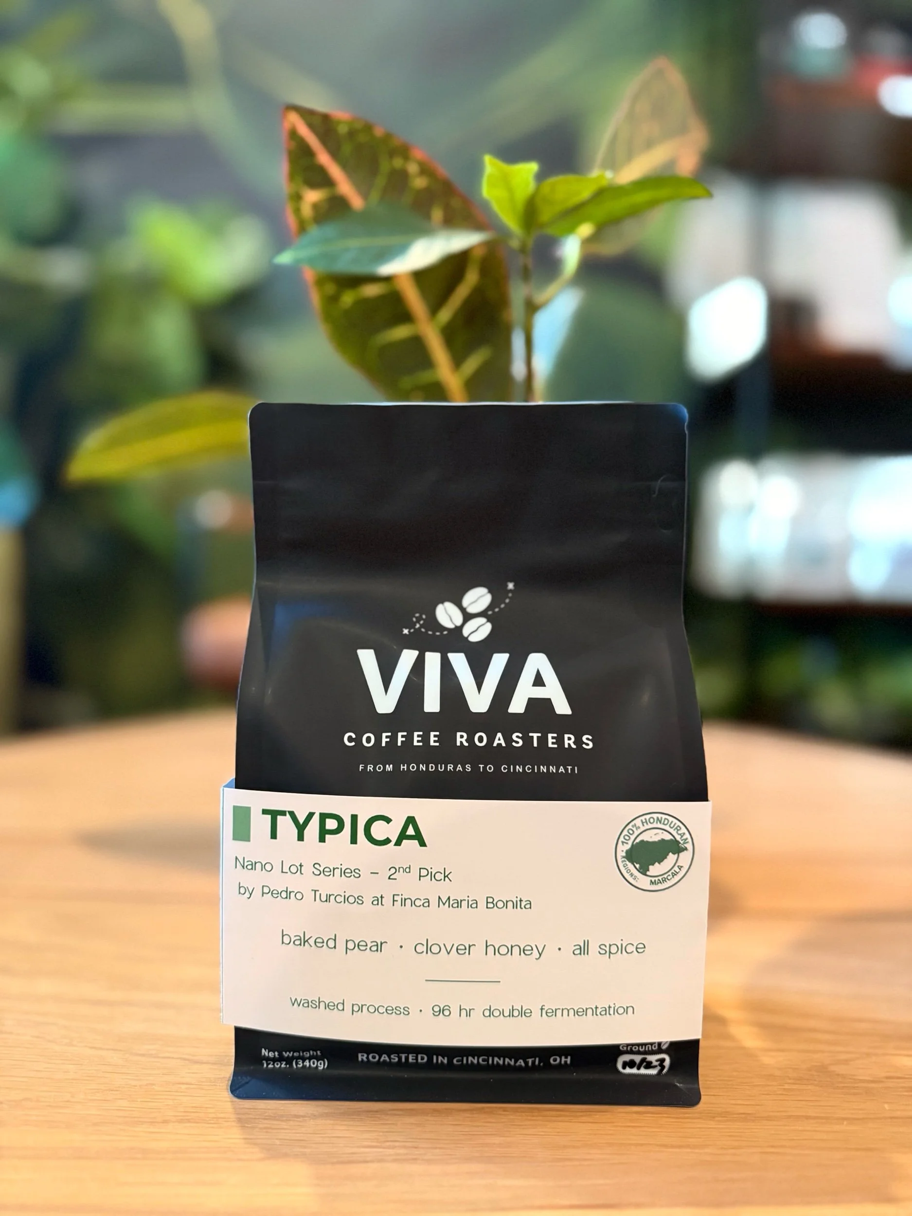 Typica, Washed Process Nano Lot - 12oz