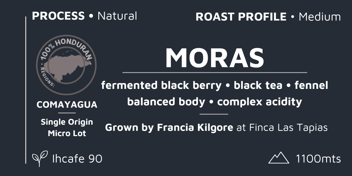 MORAS, FINAL (1).png