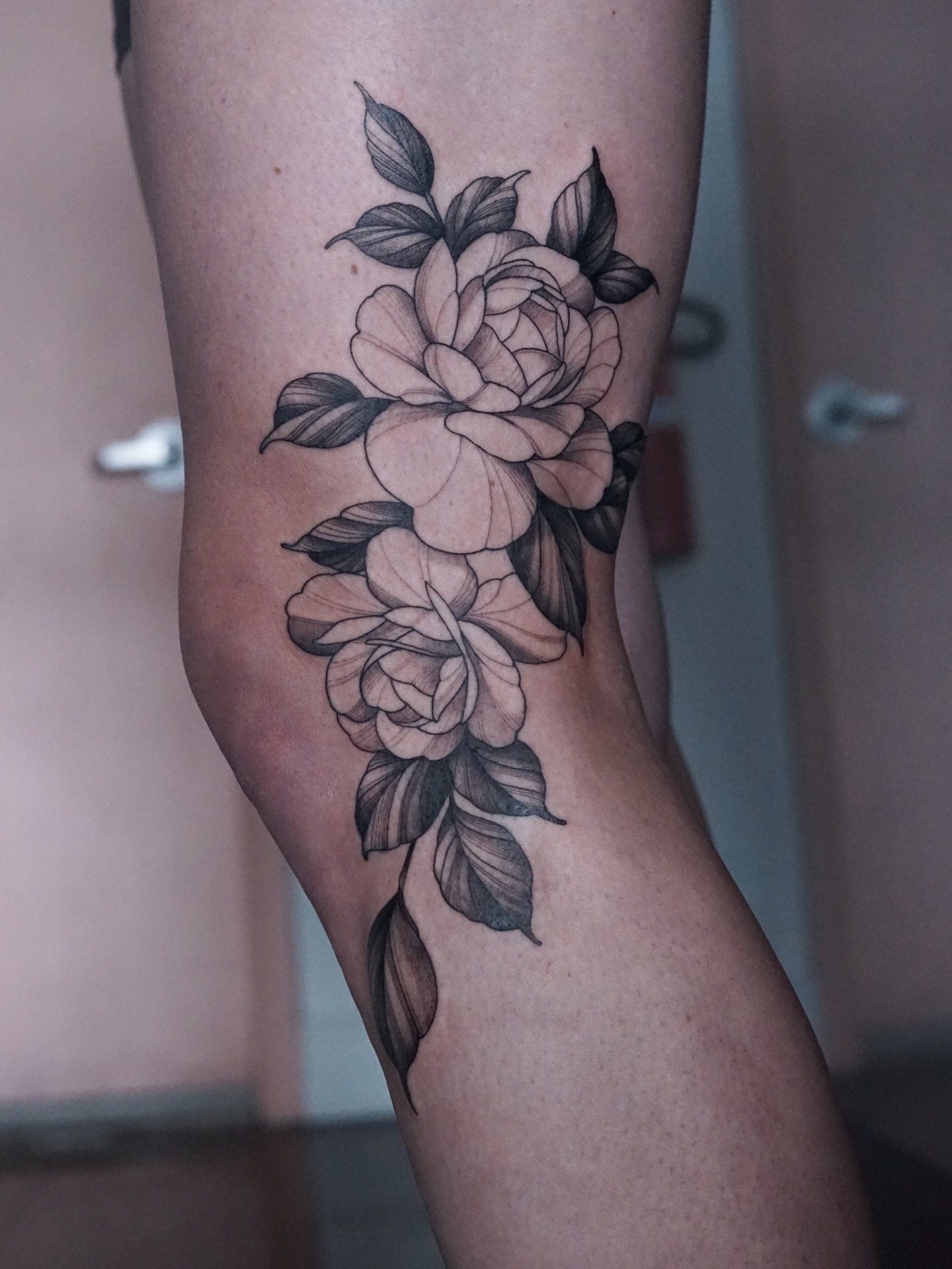 Some fine line side knee florals for Megan. Thanks for looking! 

Done  @togethertattoo.studio 

#floraltattoo #fineline #flower #tampatattooartist #tampatattoo