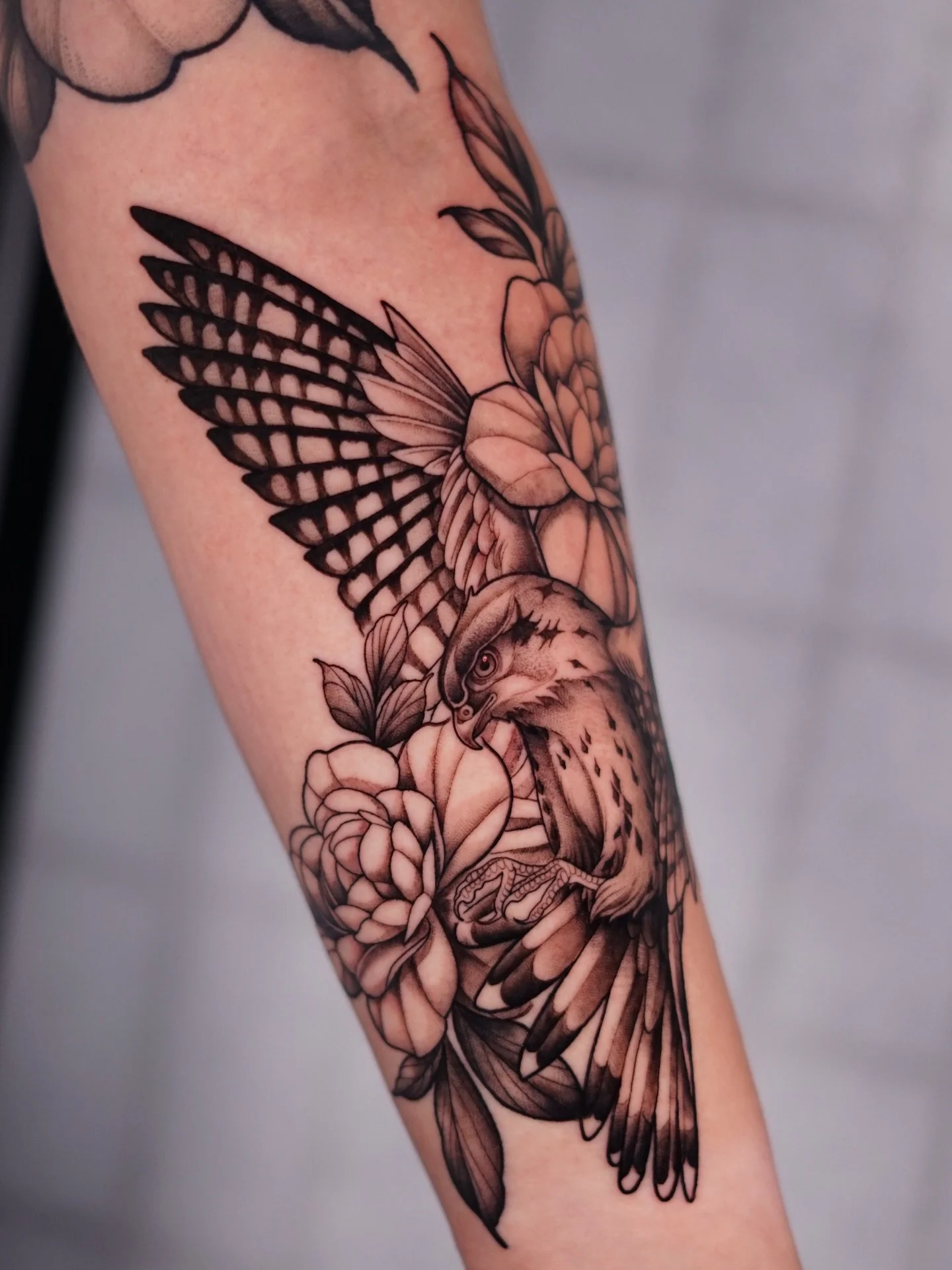 Here is a bird tattoo. A Peregrine Falcon to be specific.
The Fastest Bird in the World,
The peregrine falcon (Falco peregrinus) is the fastest bird and the fastest animal on the planet, reaching speeds over 200 mph (320 km/h) and up to 240+ mph (389