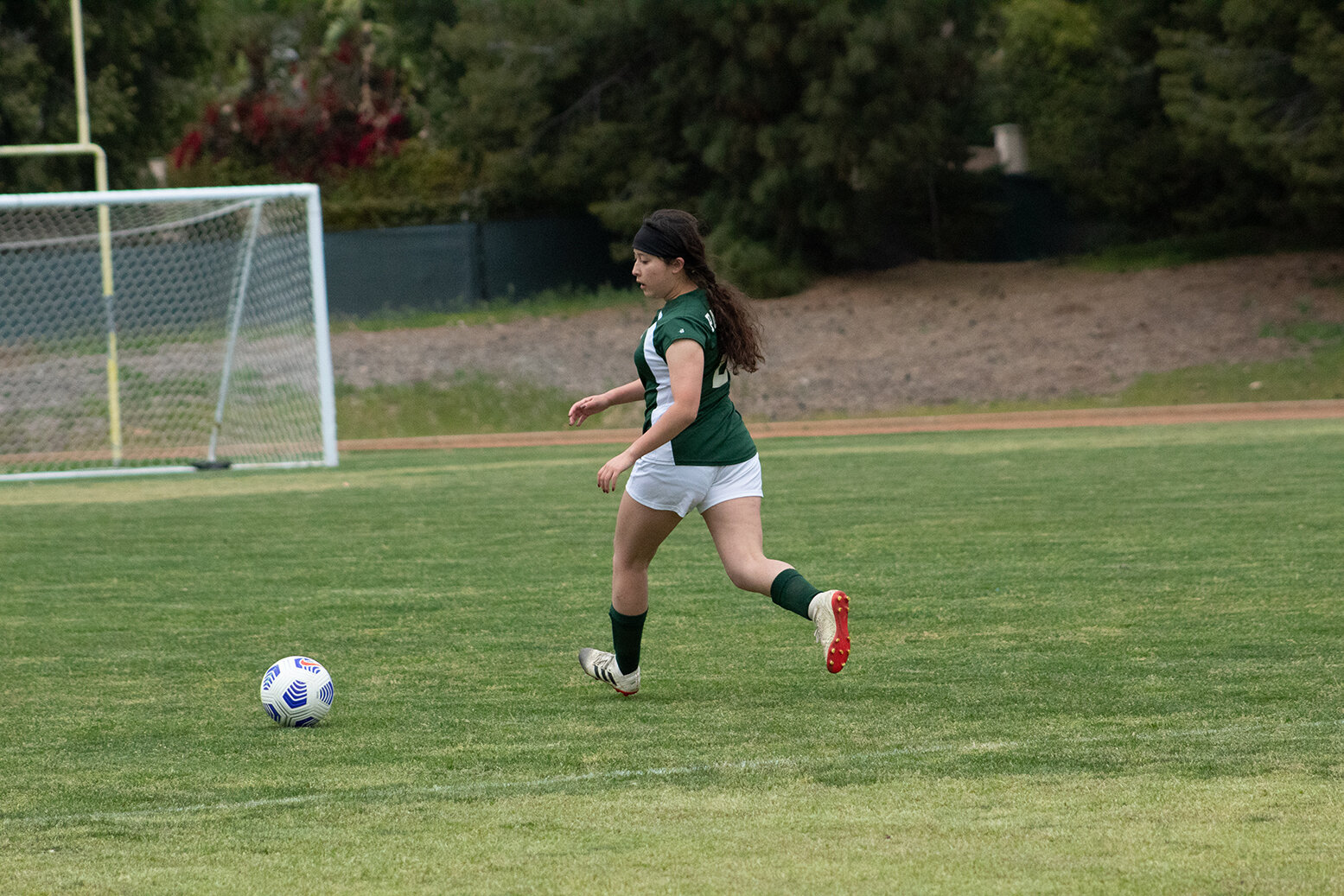 IMG_7348-LR.jpg