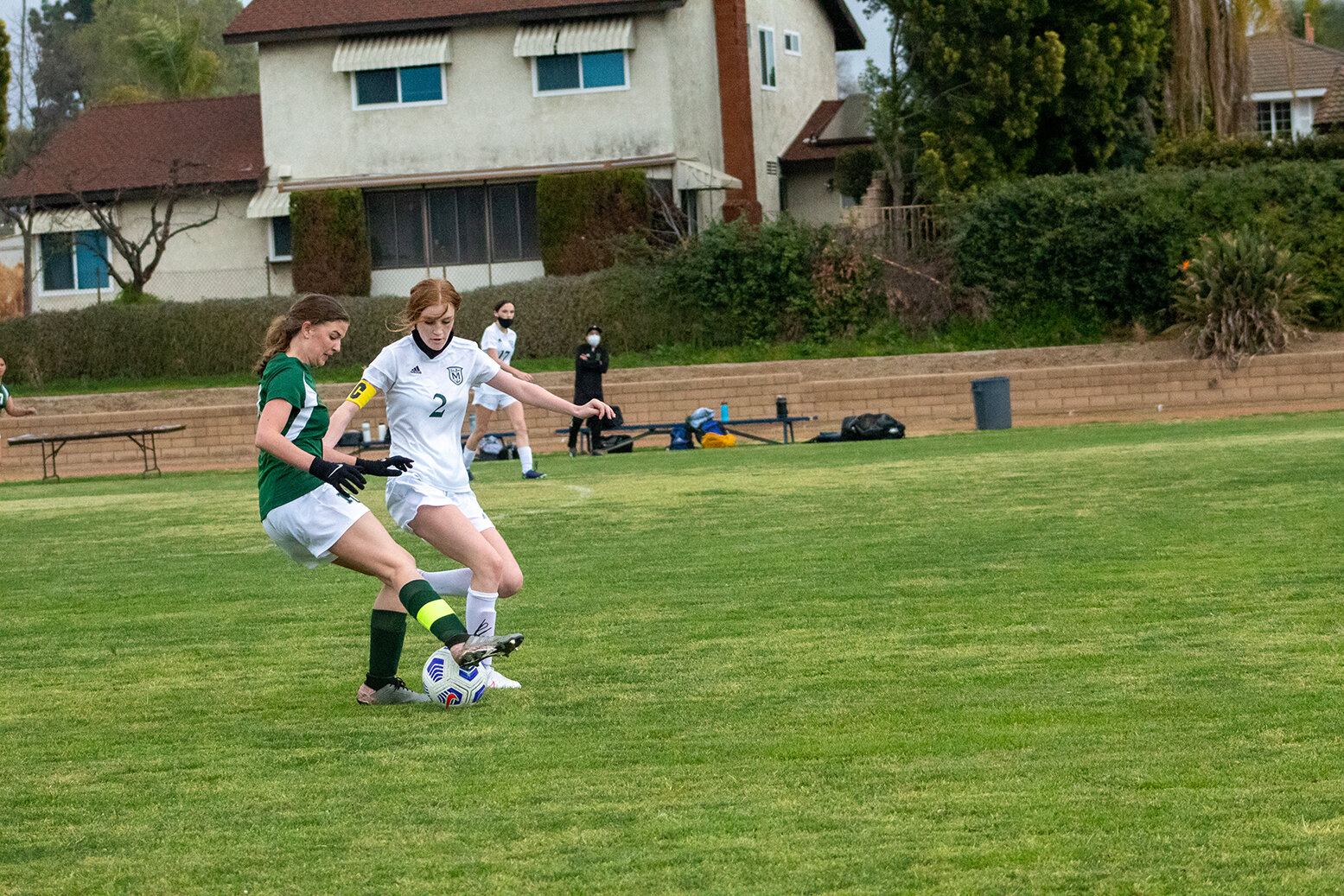 IMG_7438-LR.jpg