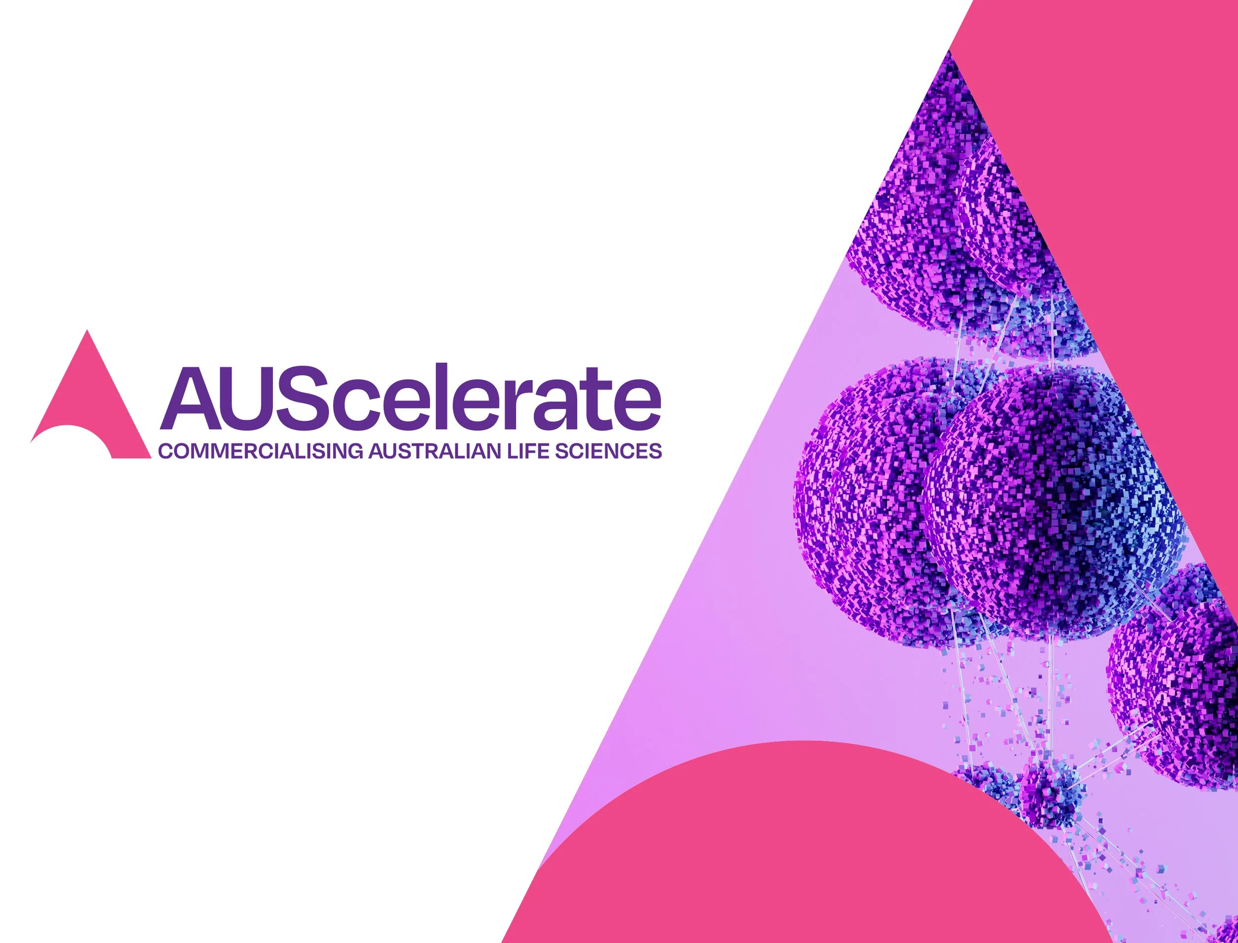 AUScelerate