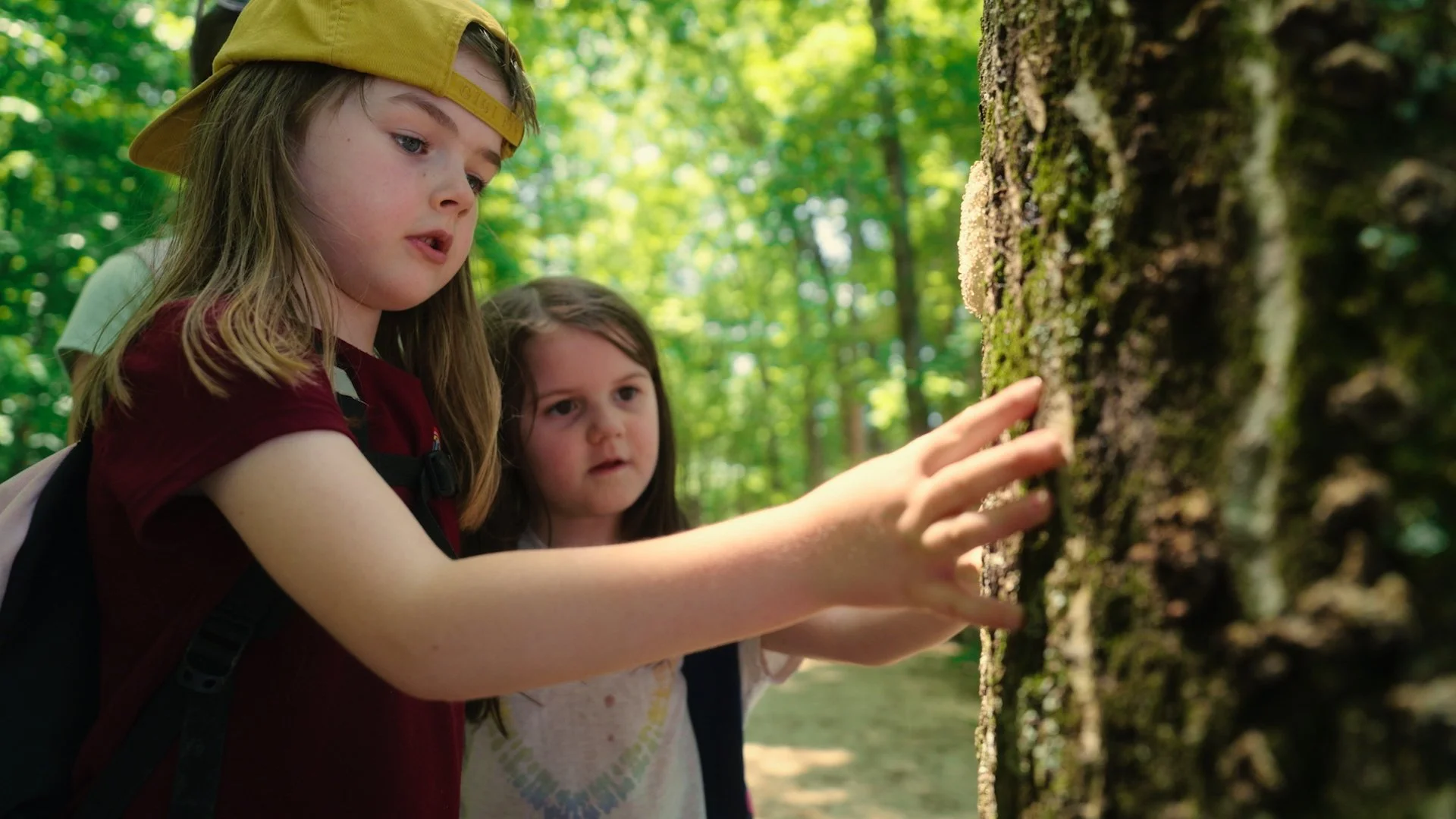Piedmont Forest School