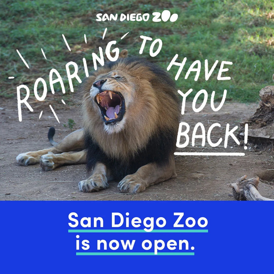 SanDiegoZoo_Static_v5.jpg