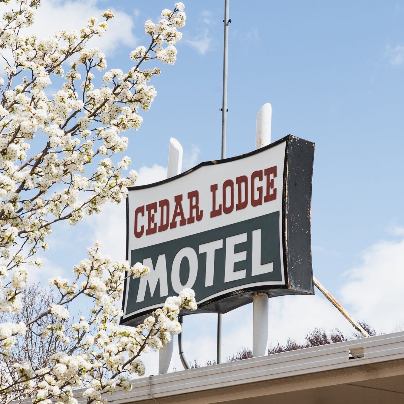 Only a stone's throw from the main street of town, Cedar Lodge is positioned perfectly for those travellers wanting to rest their heads mid journey or for those who want to stay a while and explore Braidwood