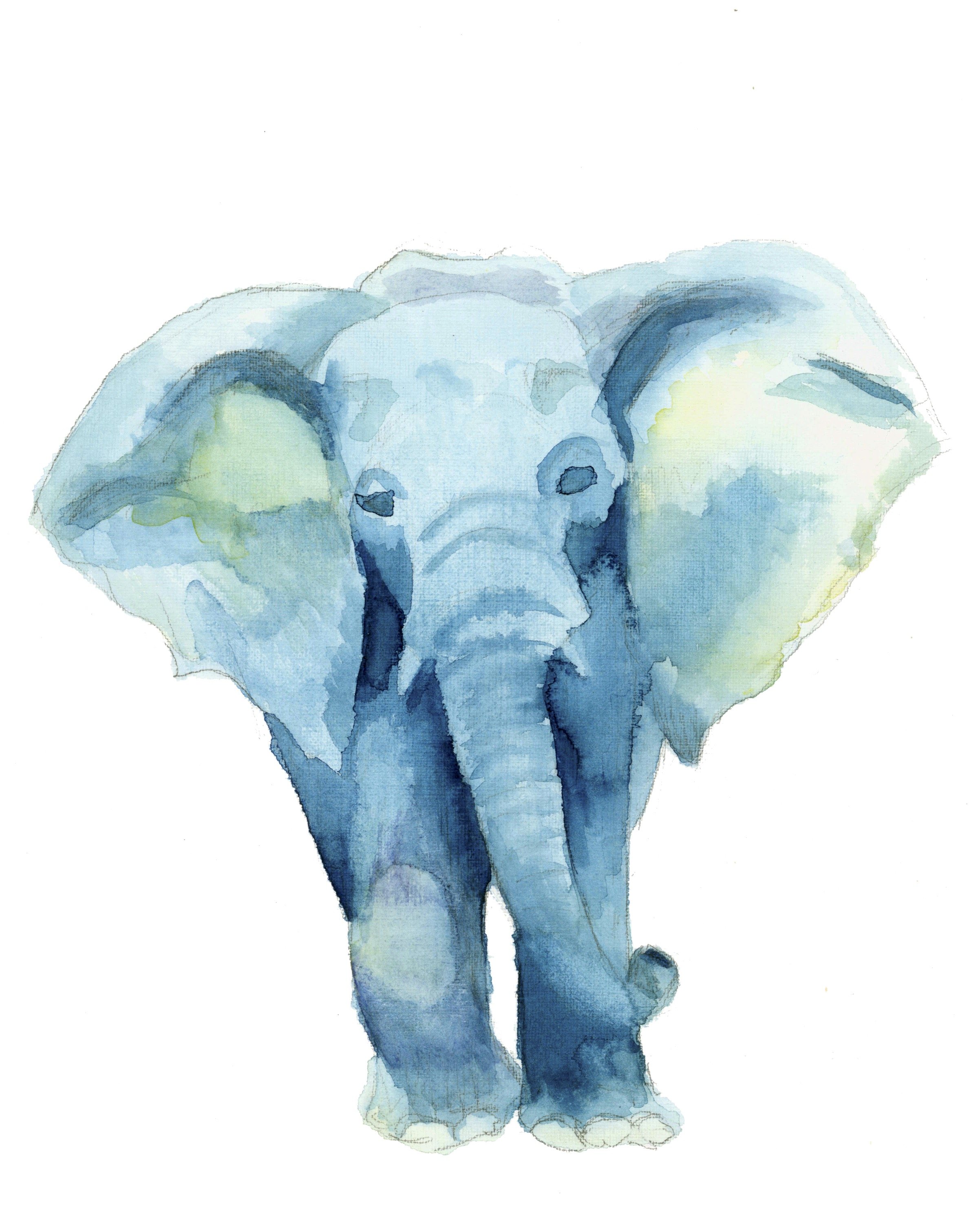 Elephant Watercolor.jpg