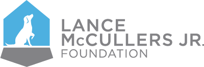 The Lance McCullers Jr. Foundation