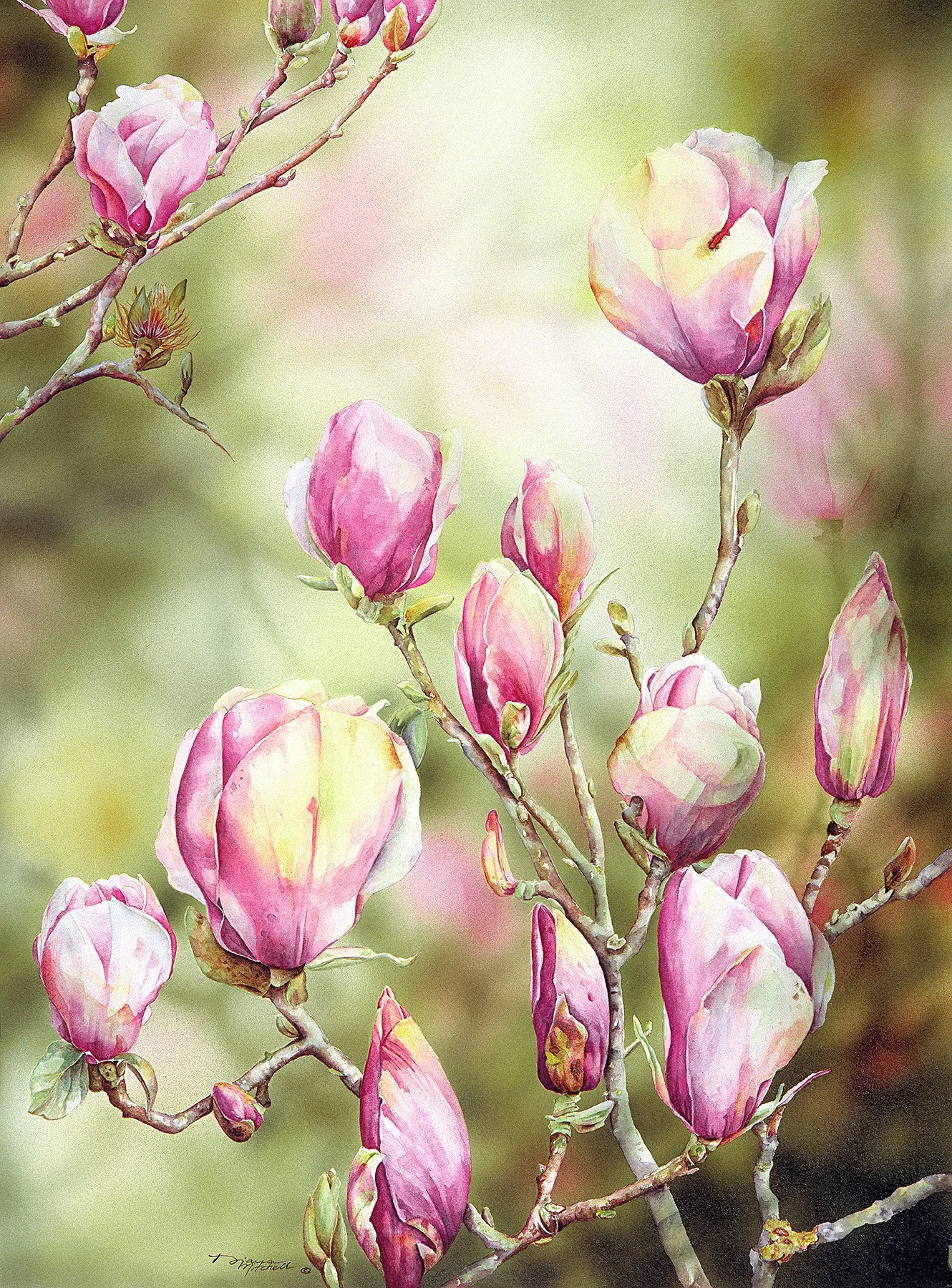 Burst of Spring