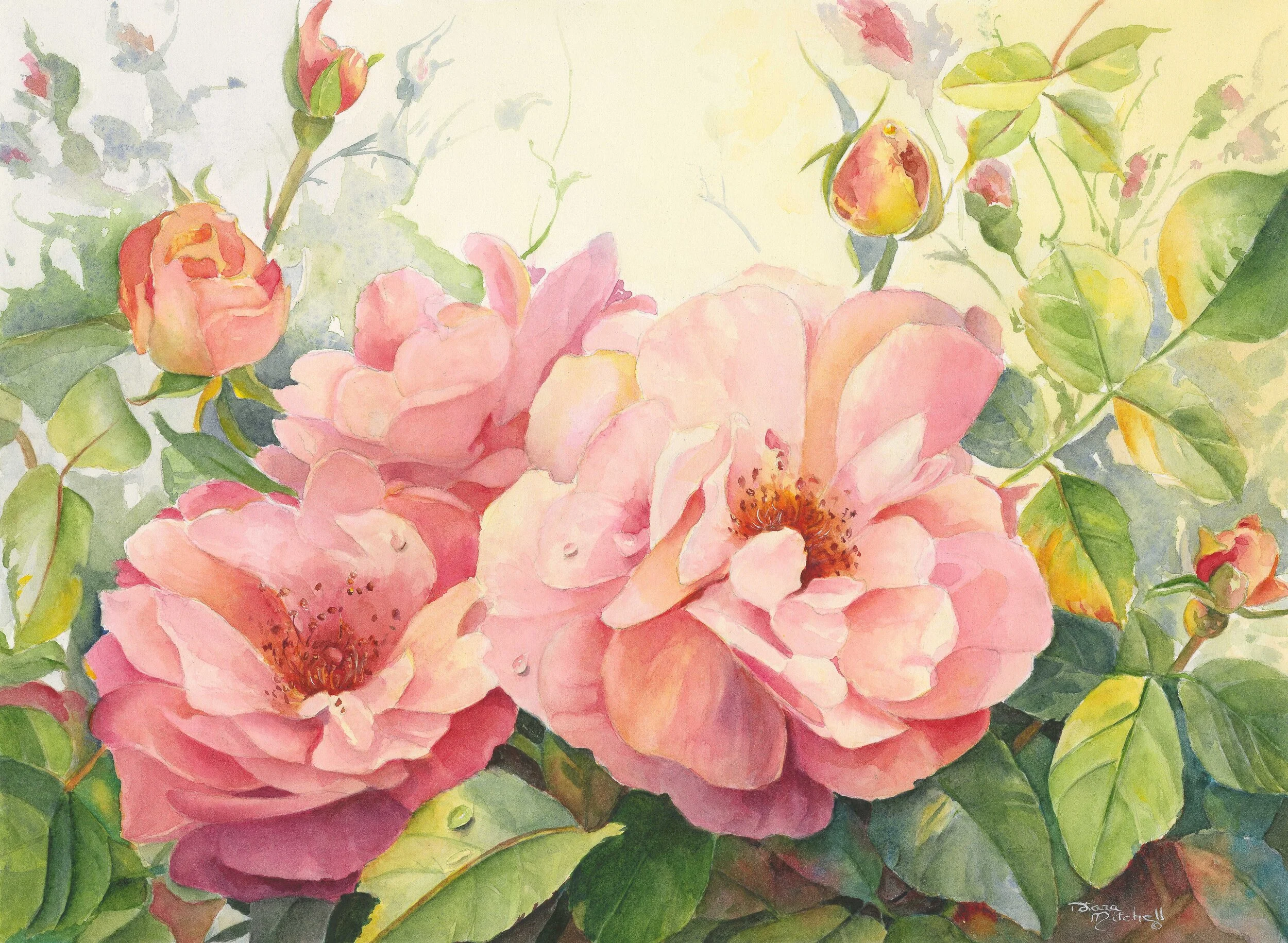 Scent Of A Rose1.jpg
