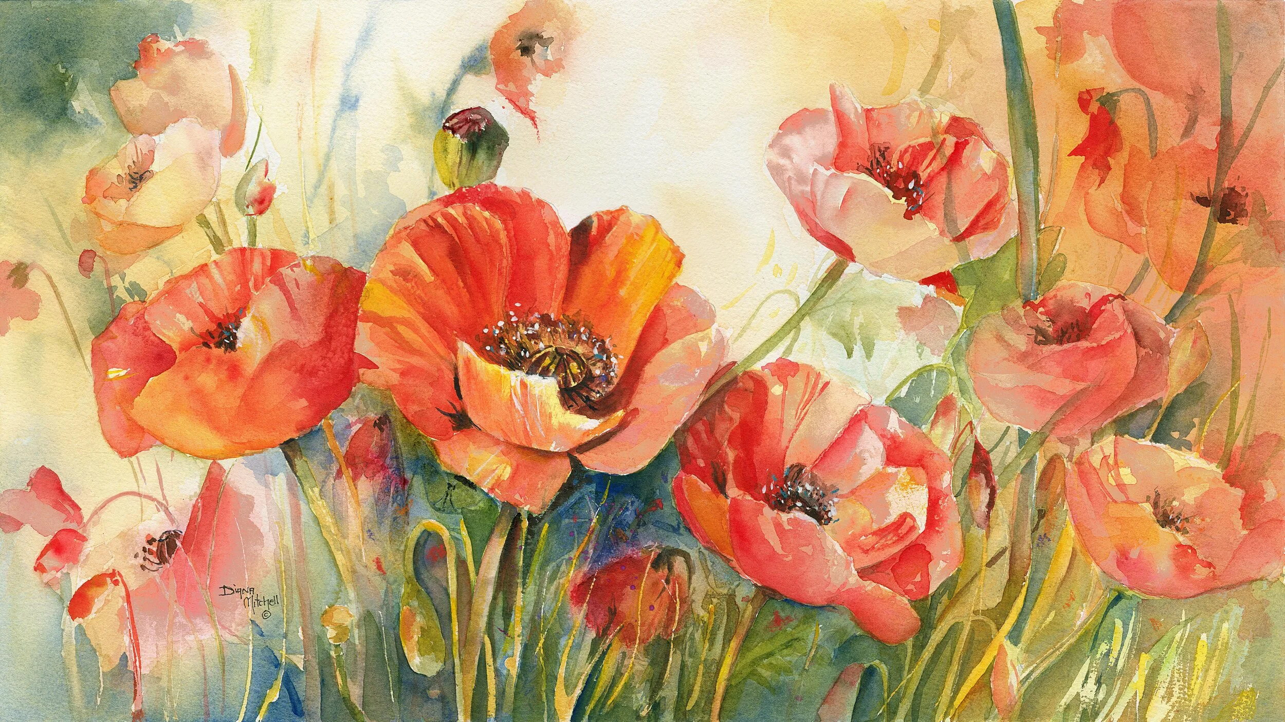 Remember The Poppies1.jpg