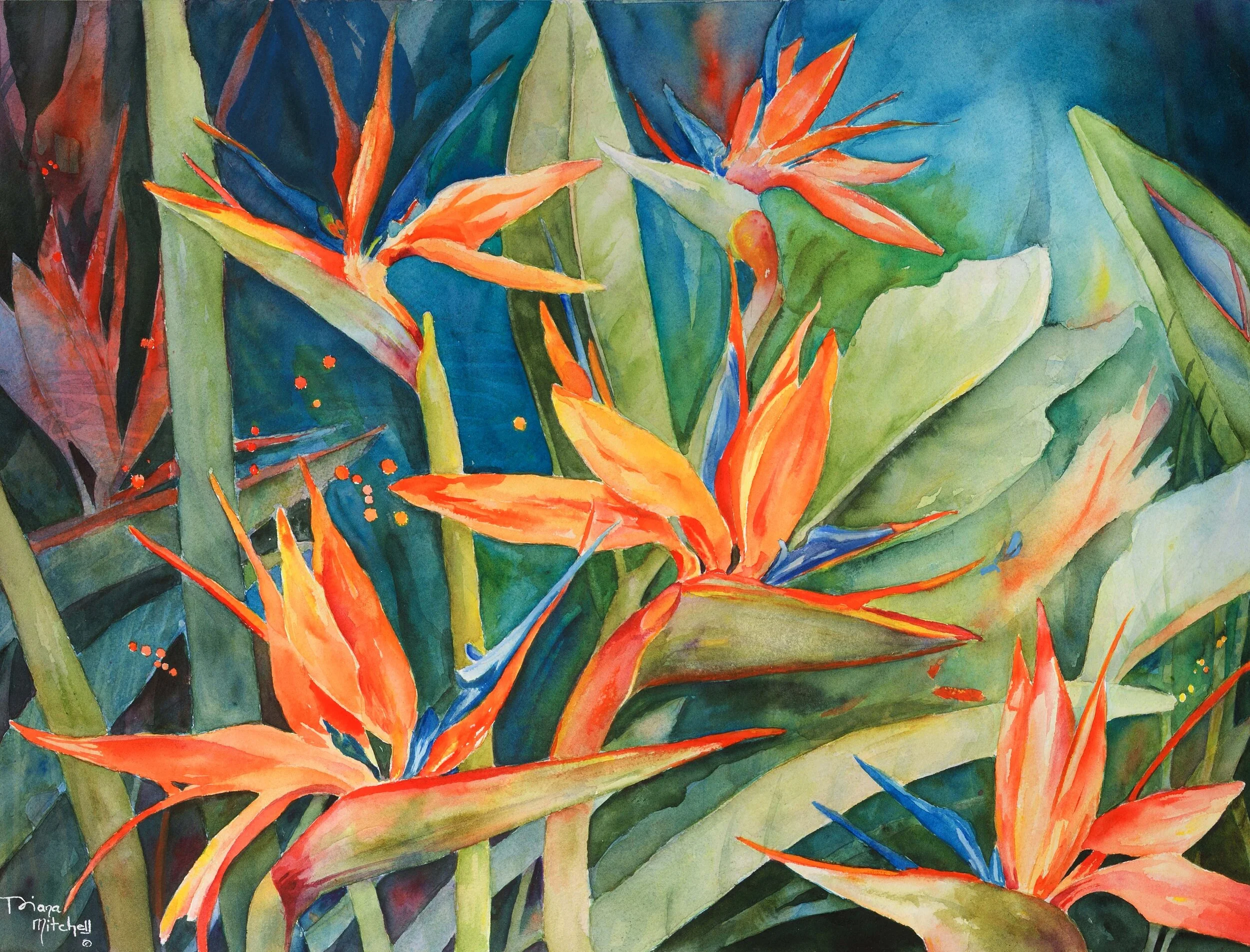 Blooms Of Paradise