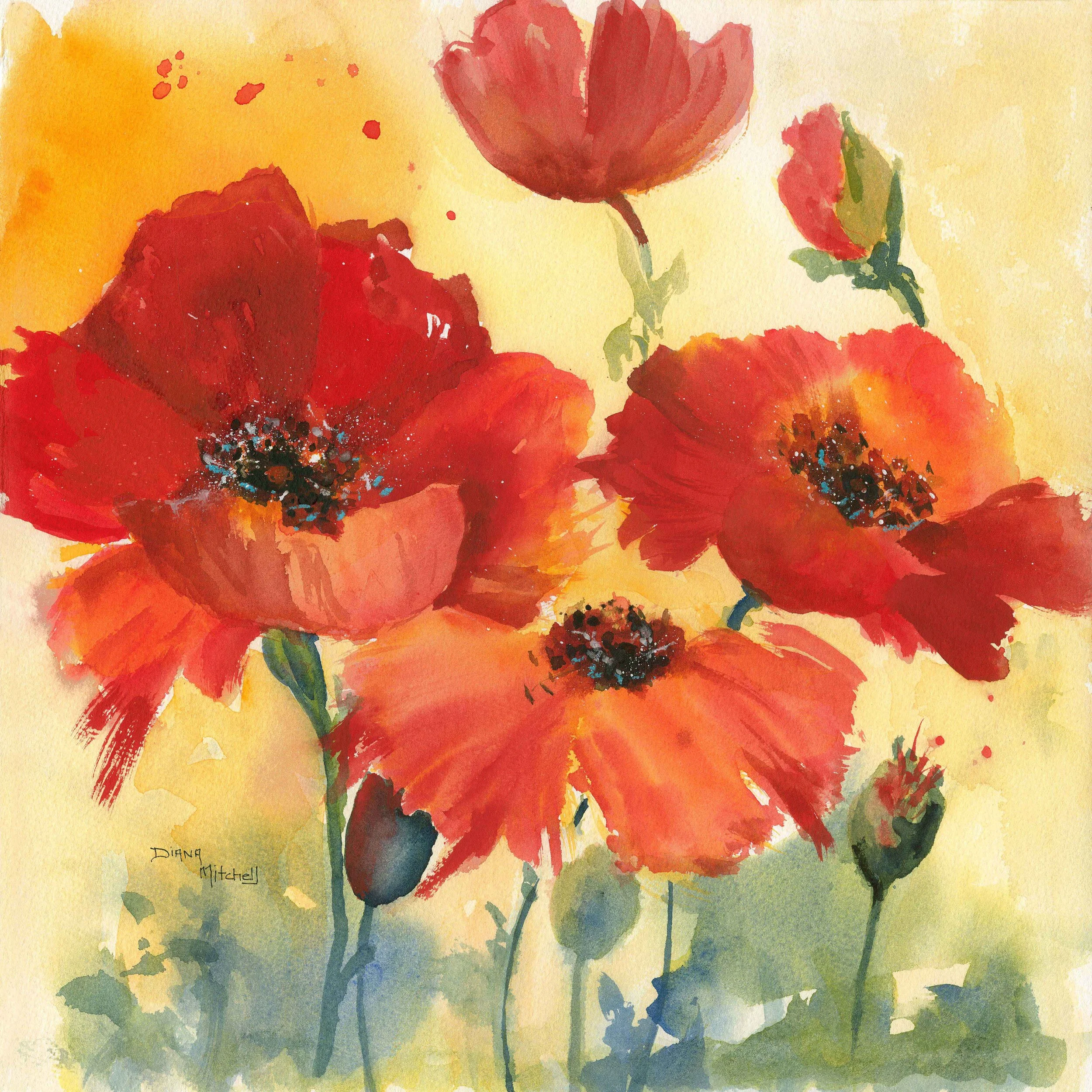 Poppy For Jess