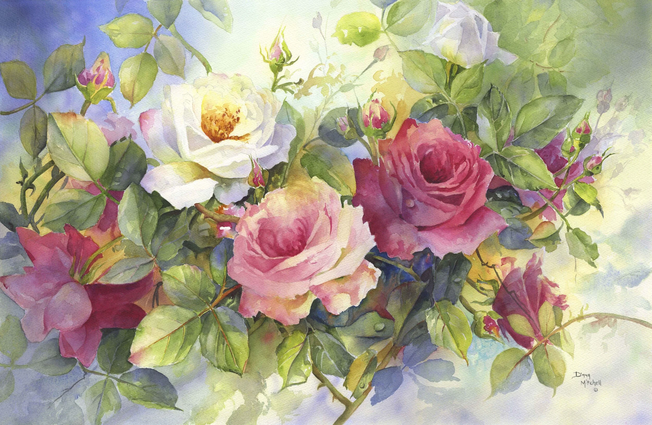 The Rose Garden