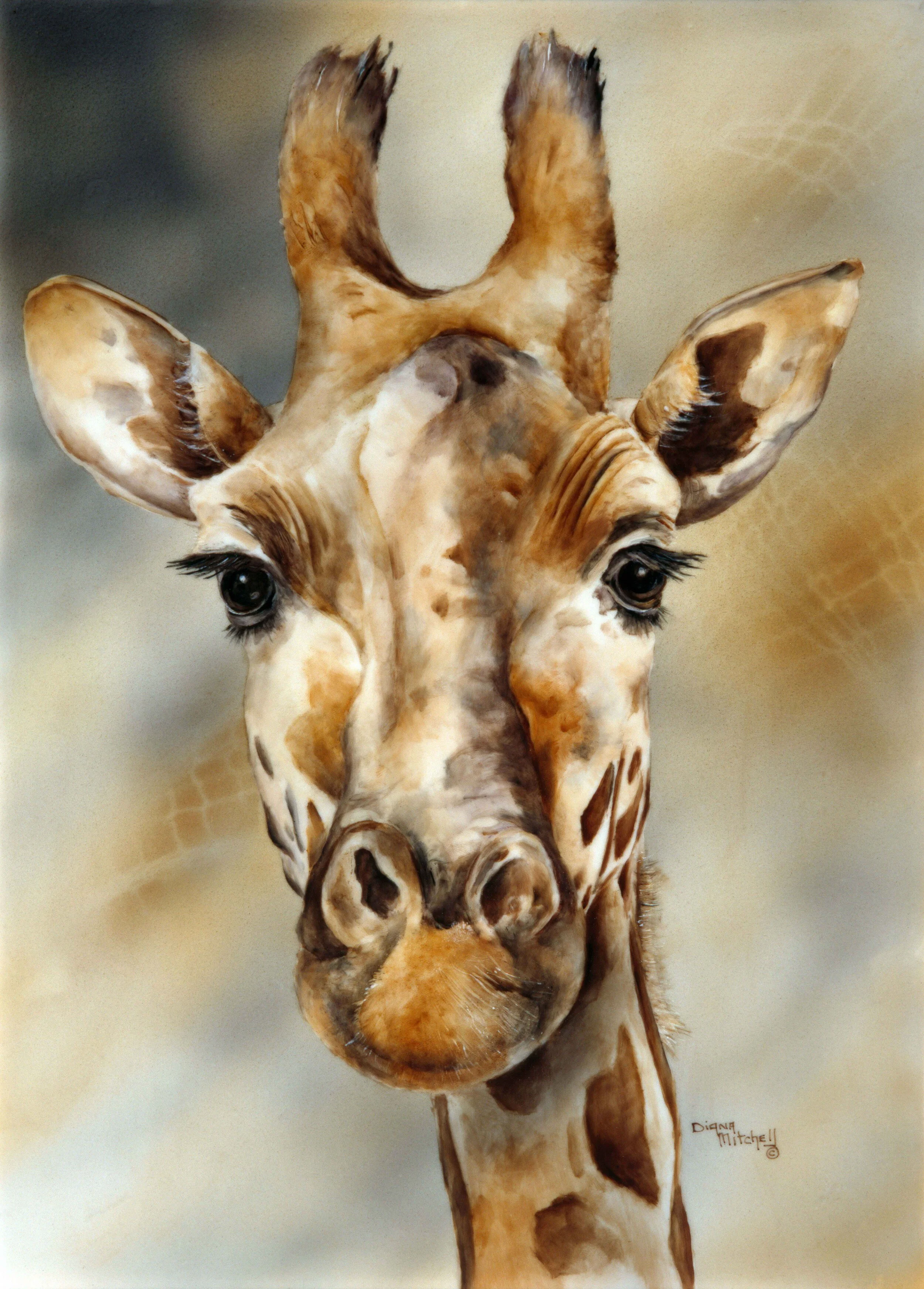 Out Of Africa
