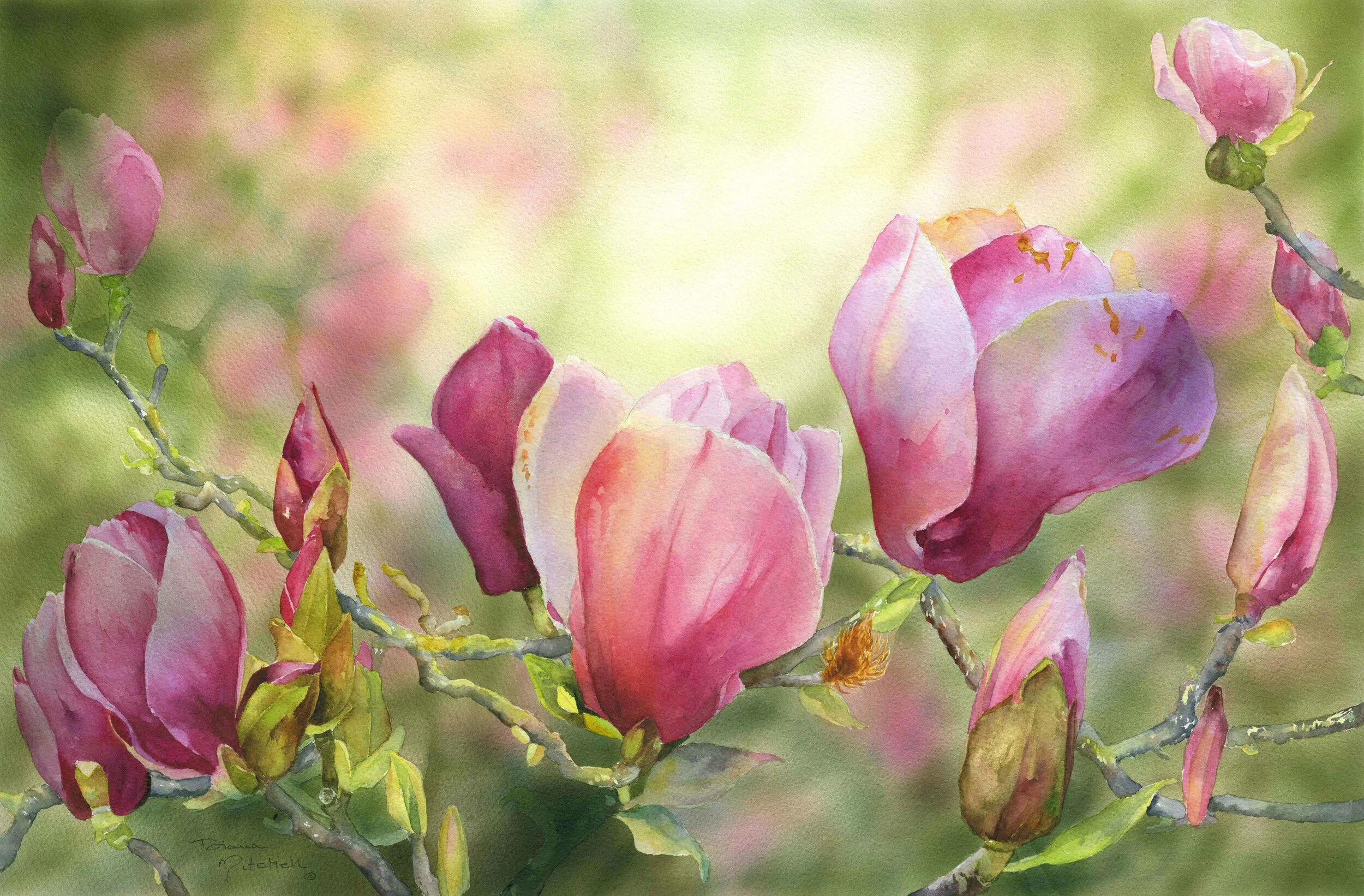 Spring Has Come